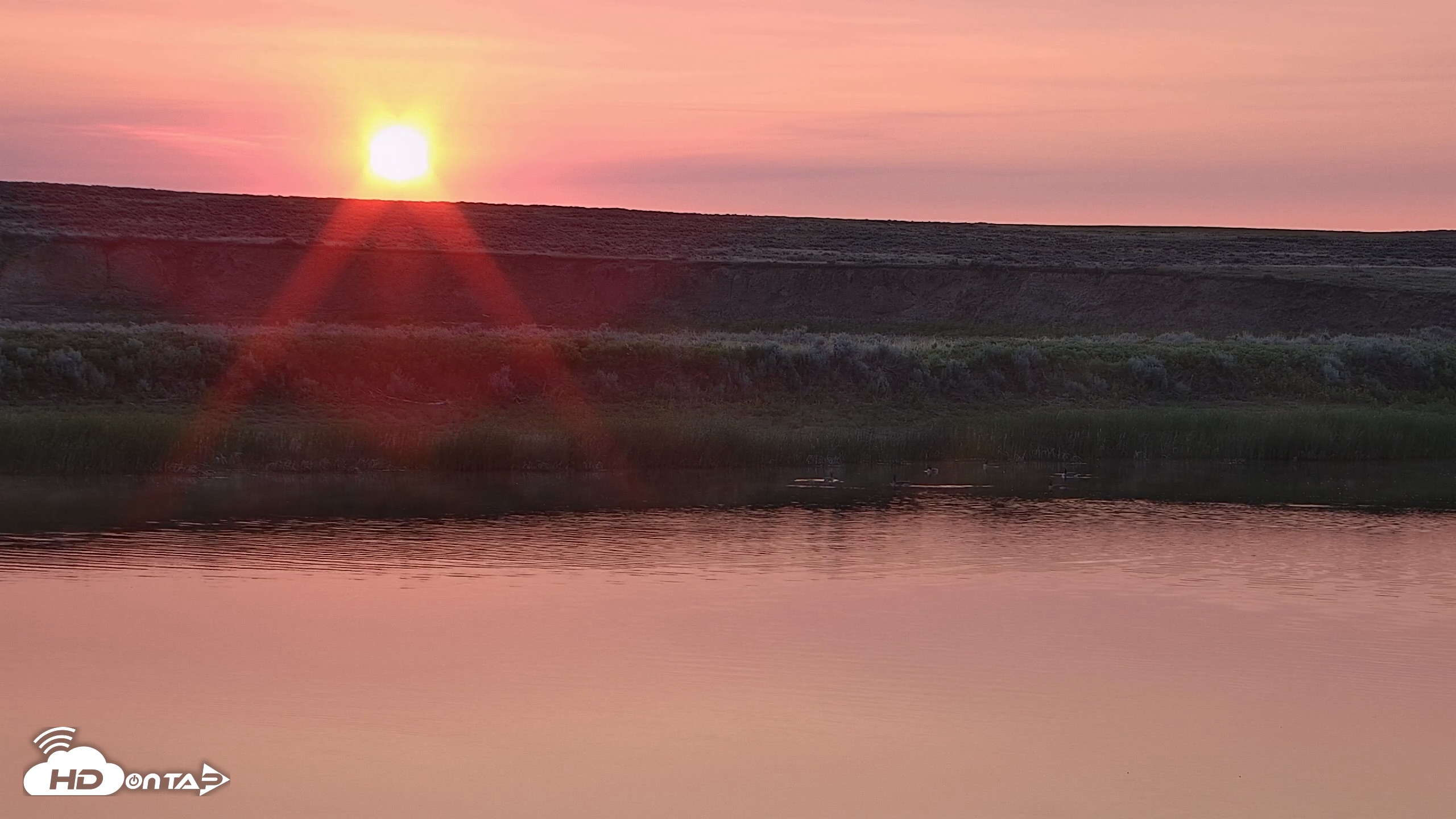 Snapshot of American Prairie Montana Bison Live Cam taken Jun 3, 2025, 5:27am MDT
