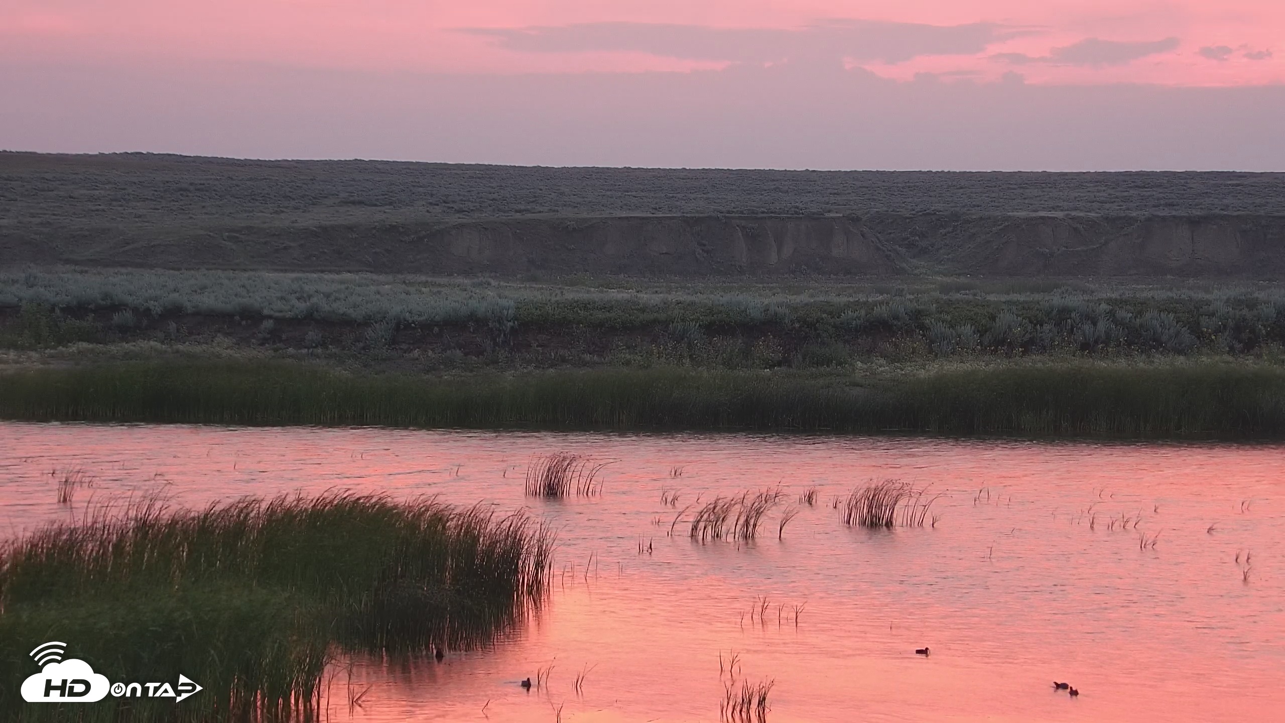 Snapshot of American Prairie Montana Bison Live Cam taken Jul 23, 2025, 5:30am MDT