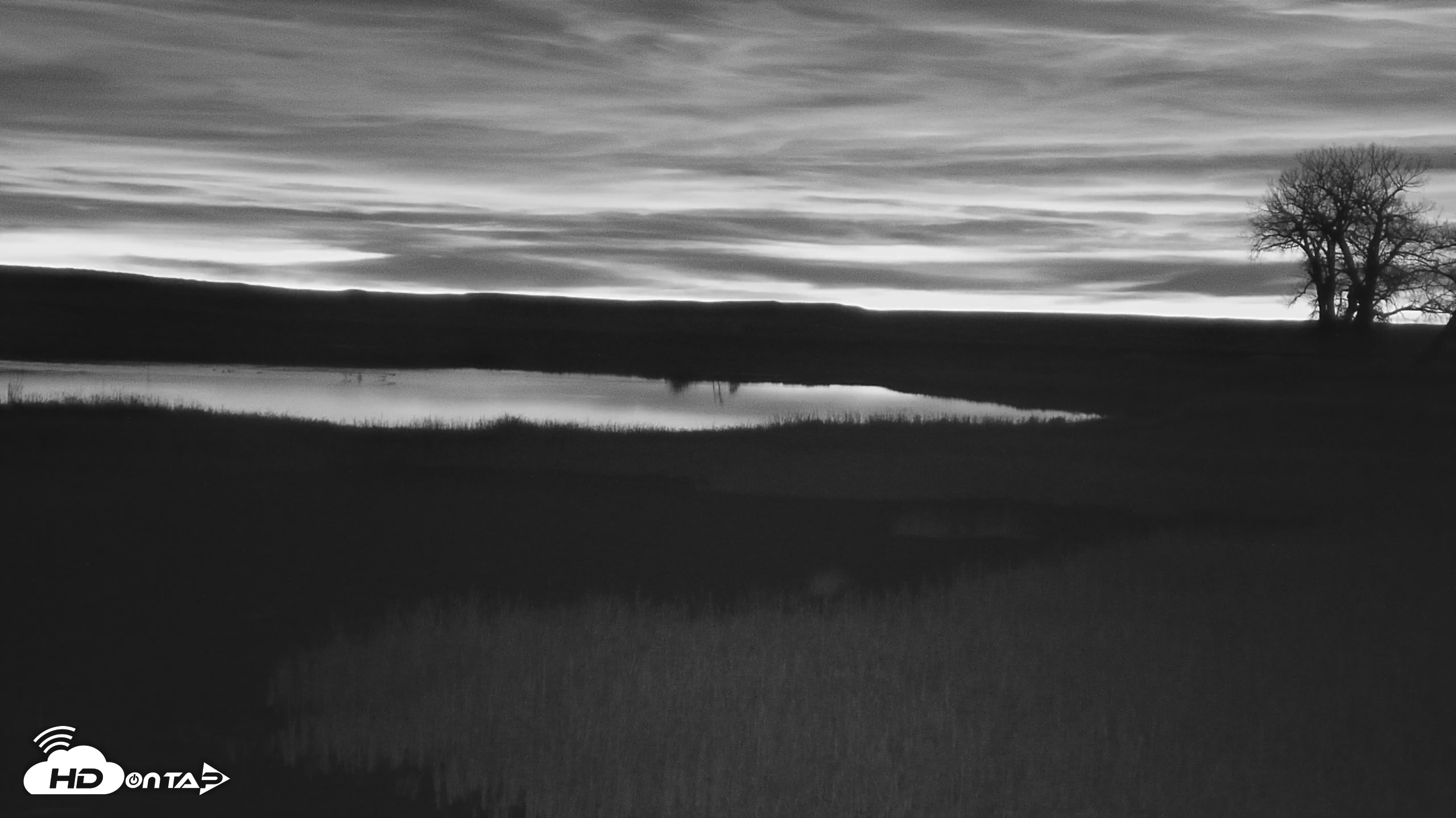 Snapshot of American Prairie Montana Bison Live Cam taken Nov 13, 2025, 6:19am MST