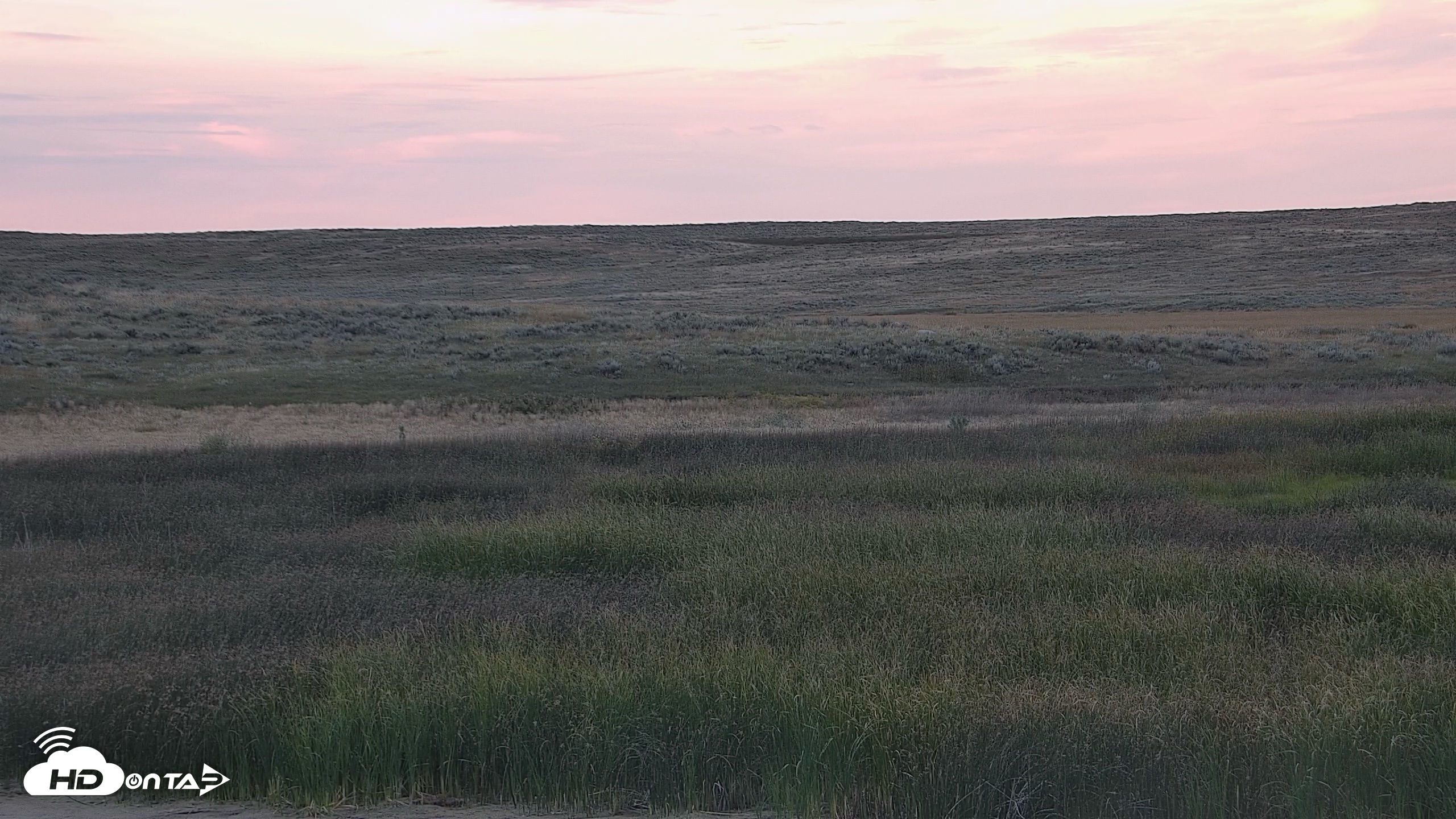 Snapshot of American Prairie Montana Bison Live Cam taken Sep 1, 2026, 7:41pm MDT