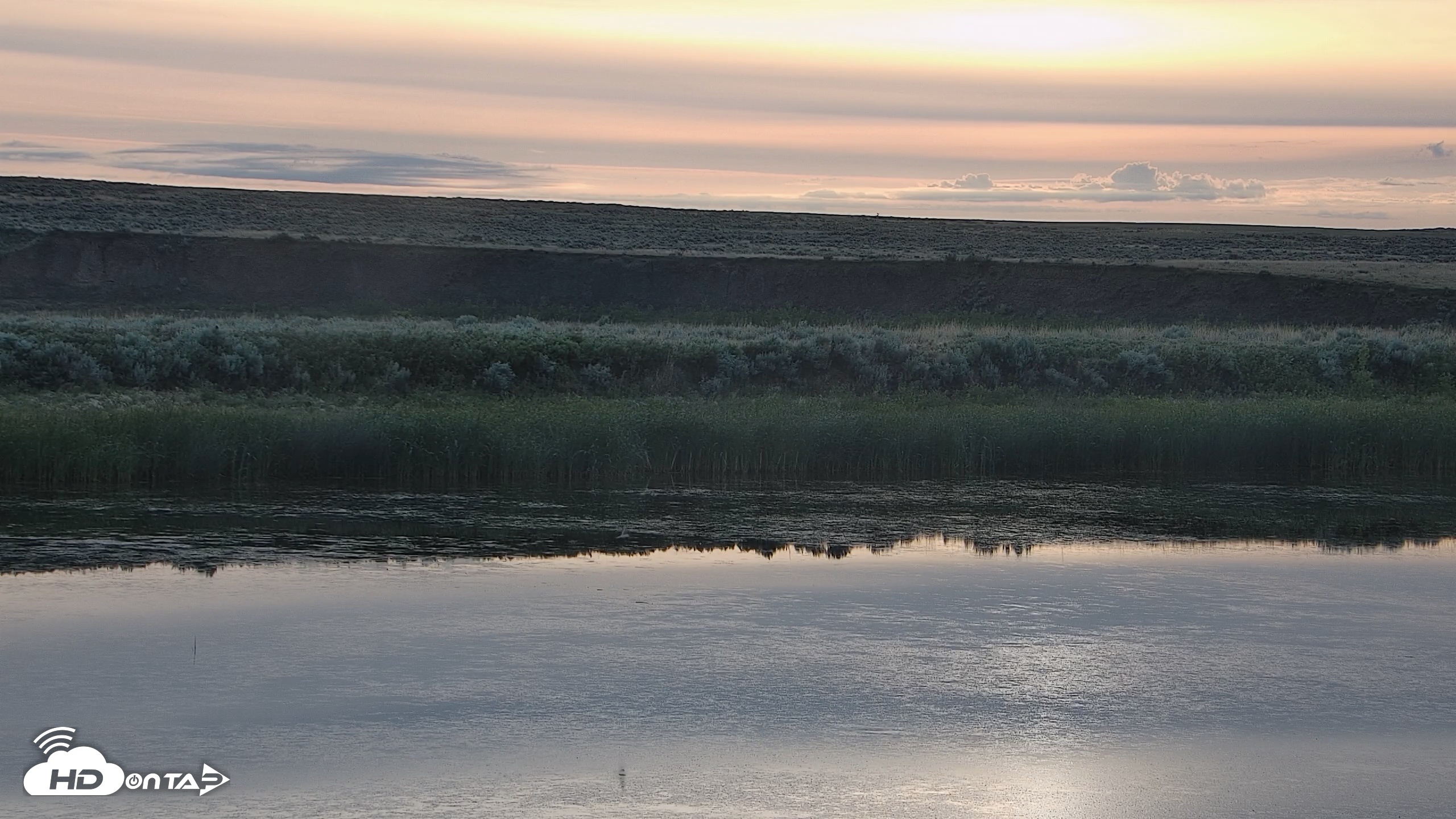 Snapshot of American Prairie Montana Bison Live Cam taken Jun 26, 2026, 6:19am MDT