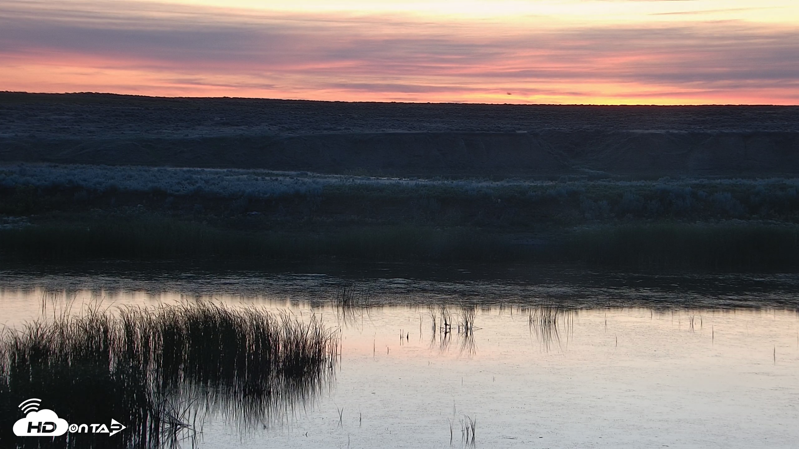Snapshot of American Prairie Montana Bison Live Cam taken Jun 27, 2025, 5:04am MDT