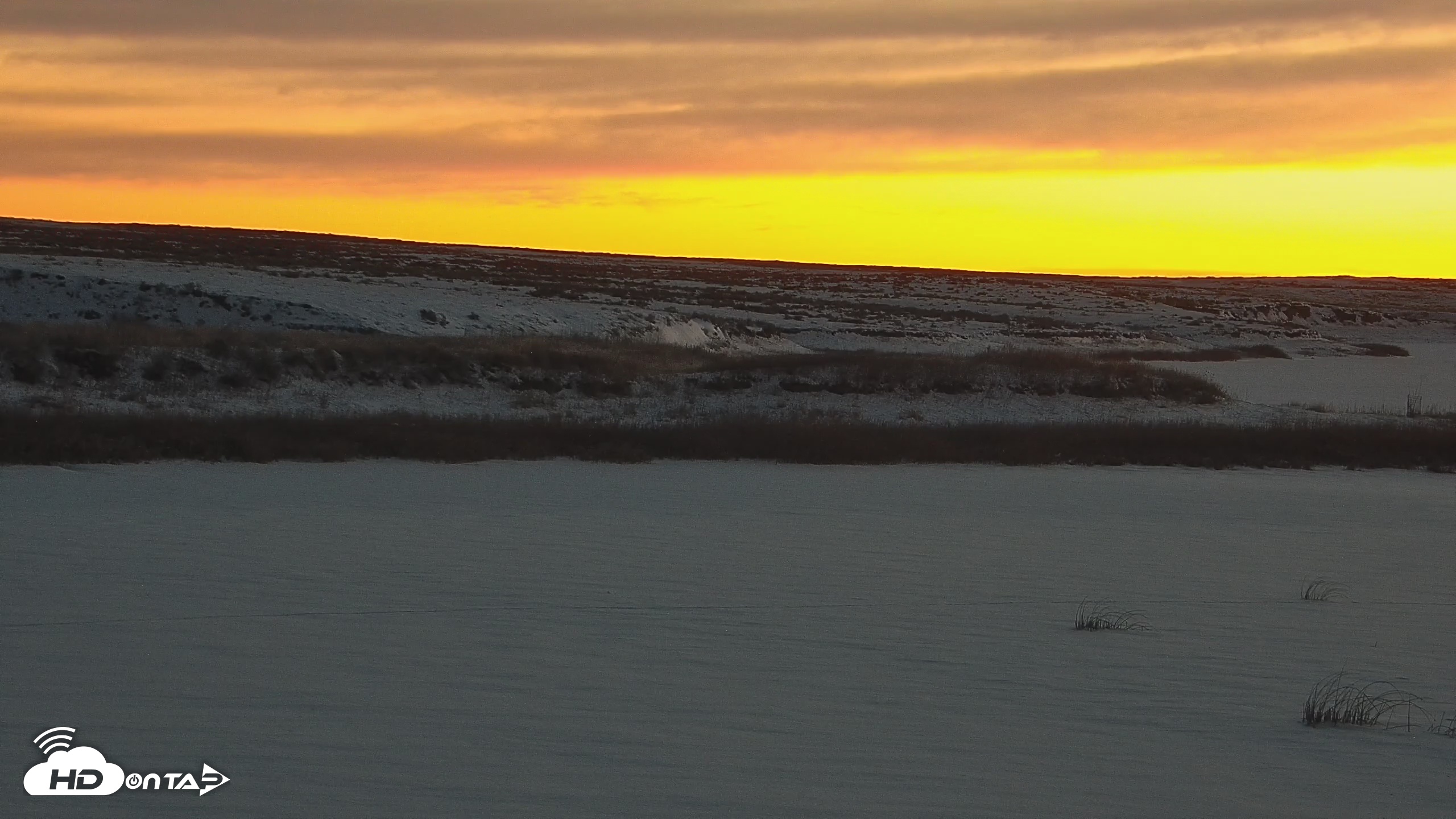 Snapshot of American Prairie Montana Bison Live Cam taken Dec 15, 2025, 7:23am MST
