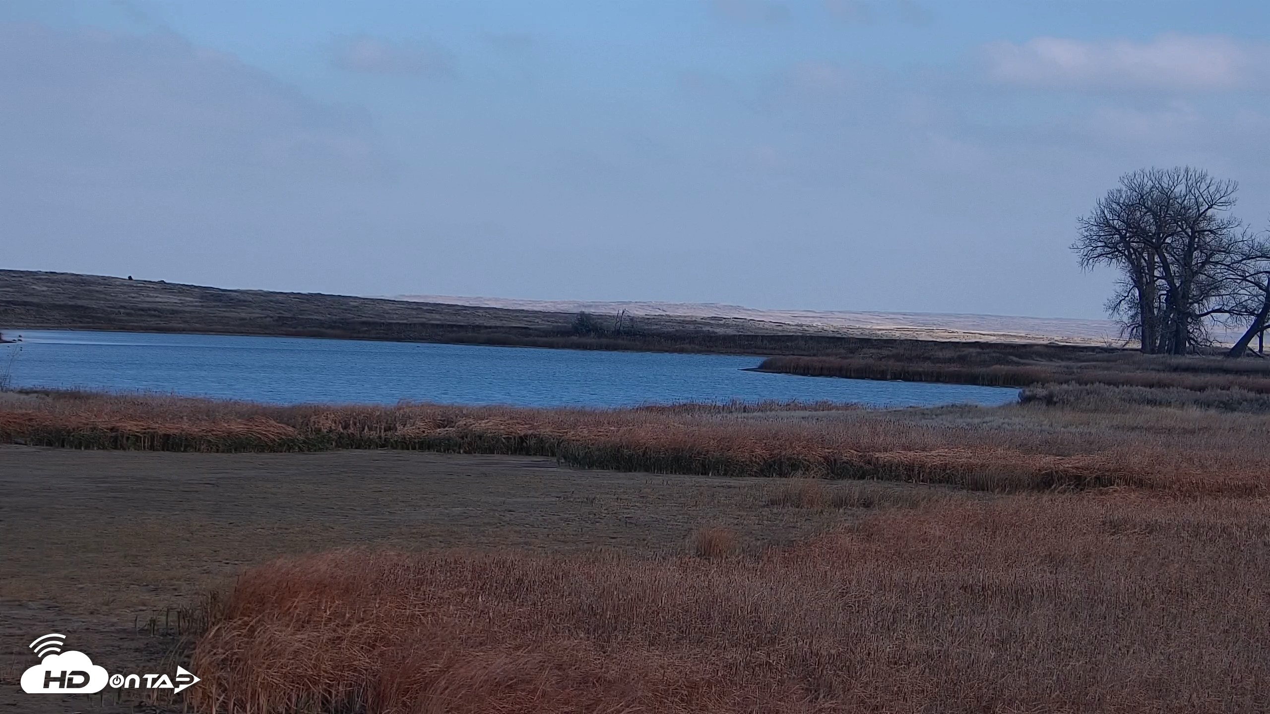 Snapshot of American Prairie Montana Bison Live Cam taken Oct 28, 2026, 2:08pm MDT