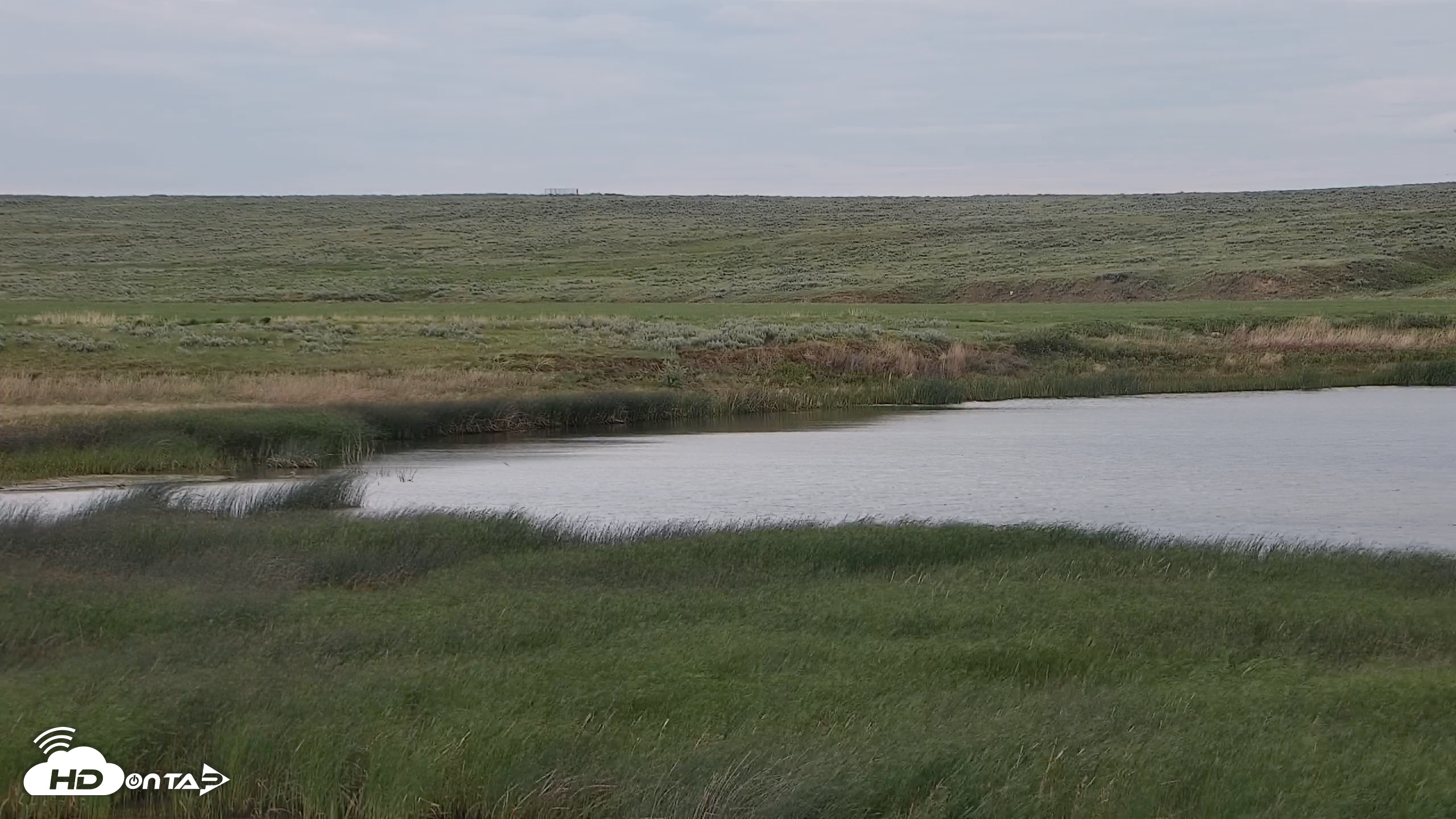 Snapshot of American Prairie Montana Bison Live Cam taken Jun 11, 2026, 6:34am MDT
