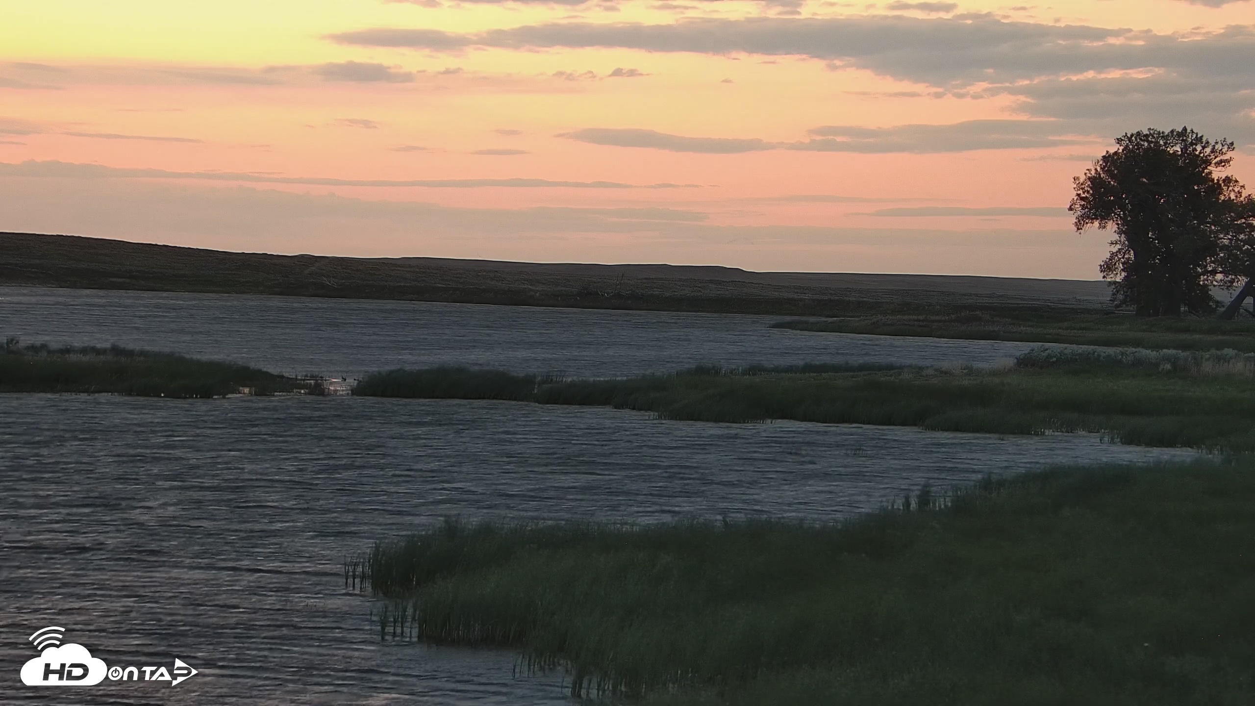Snapshot of American Prairie Montana Bison Live Cam taken Jun 7, 2025, 5:06am MDT