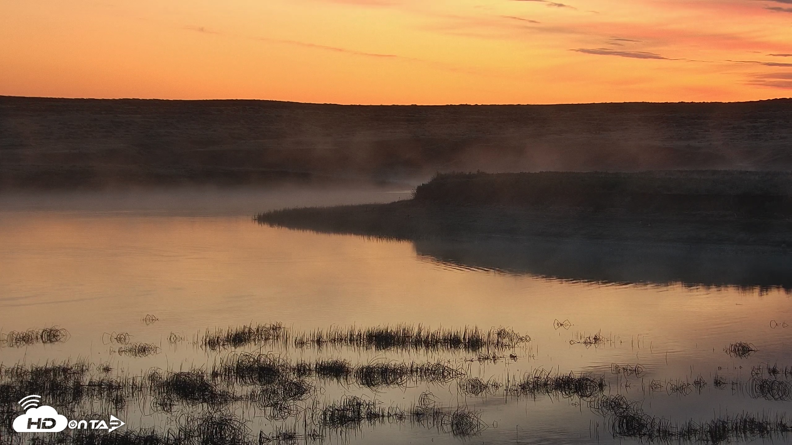 Snapshot of American Prairie Montana Bison Live Cam taken May 6, 2025, 5:27am MDT