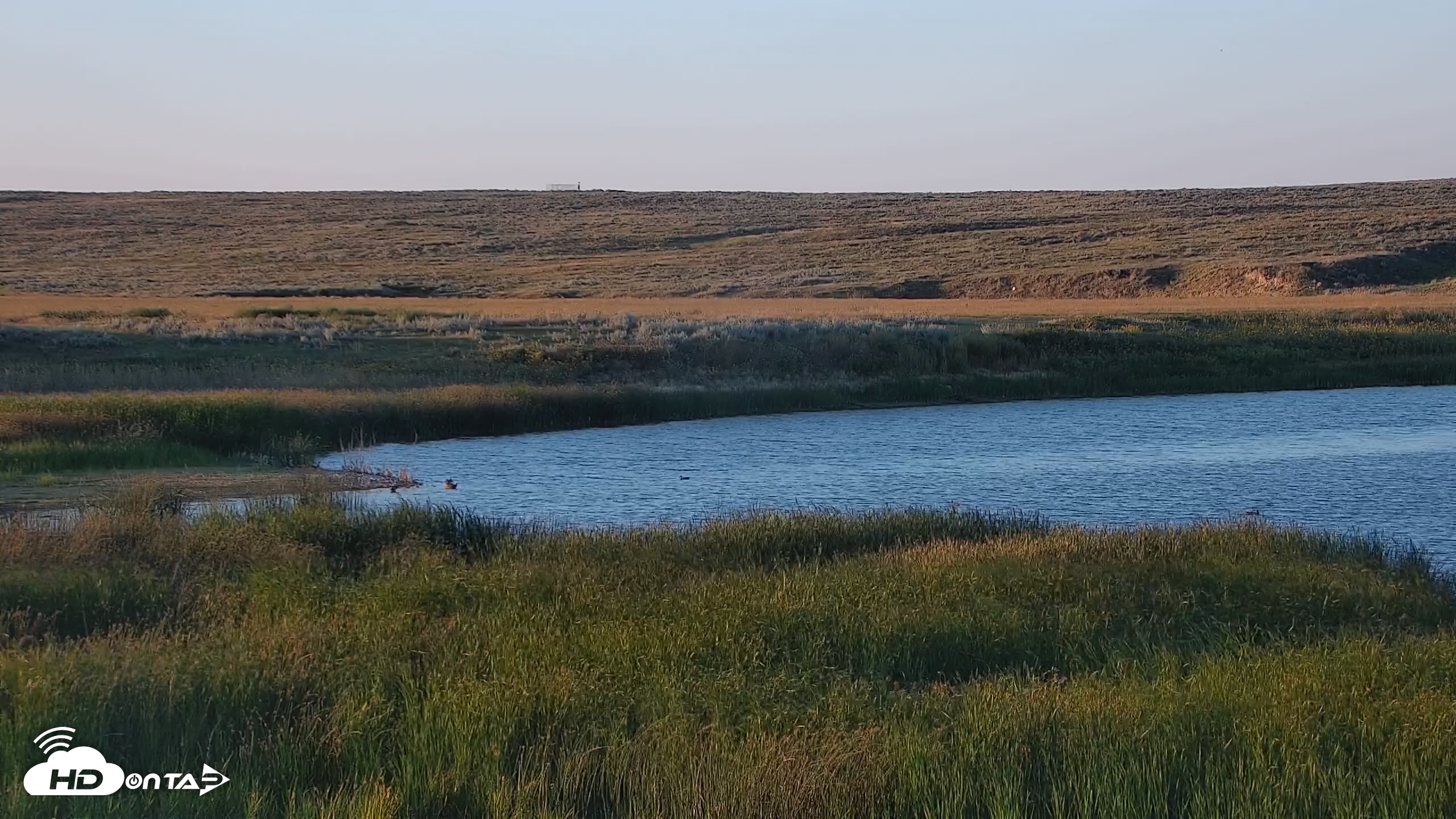 Snapshot of American Prairie Montana Bison Live Cam taken Aug 23, 2025, 7:43pm MDT