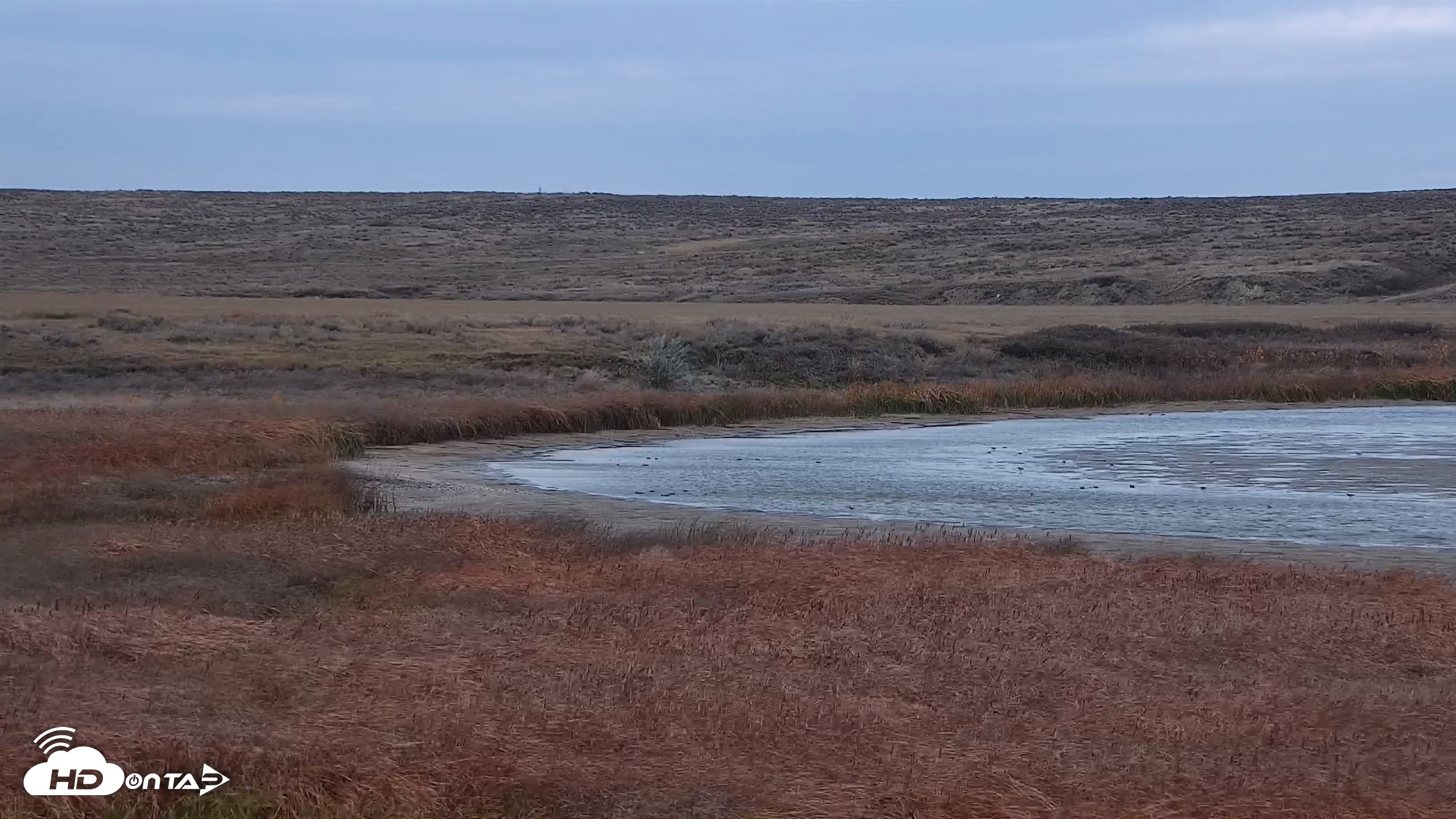 Snapshot of American Prairie Montana Bison Live Cam taken Oct 23, 2026, 3:12pm MDT