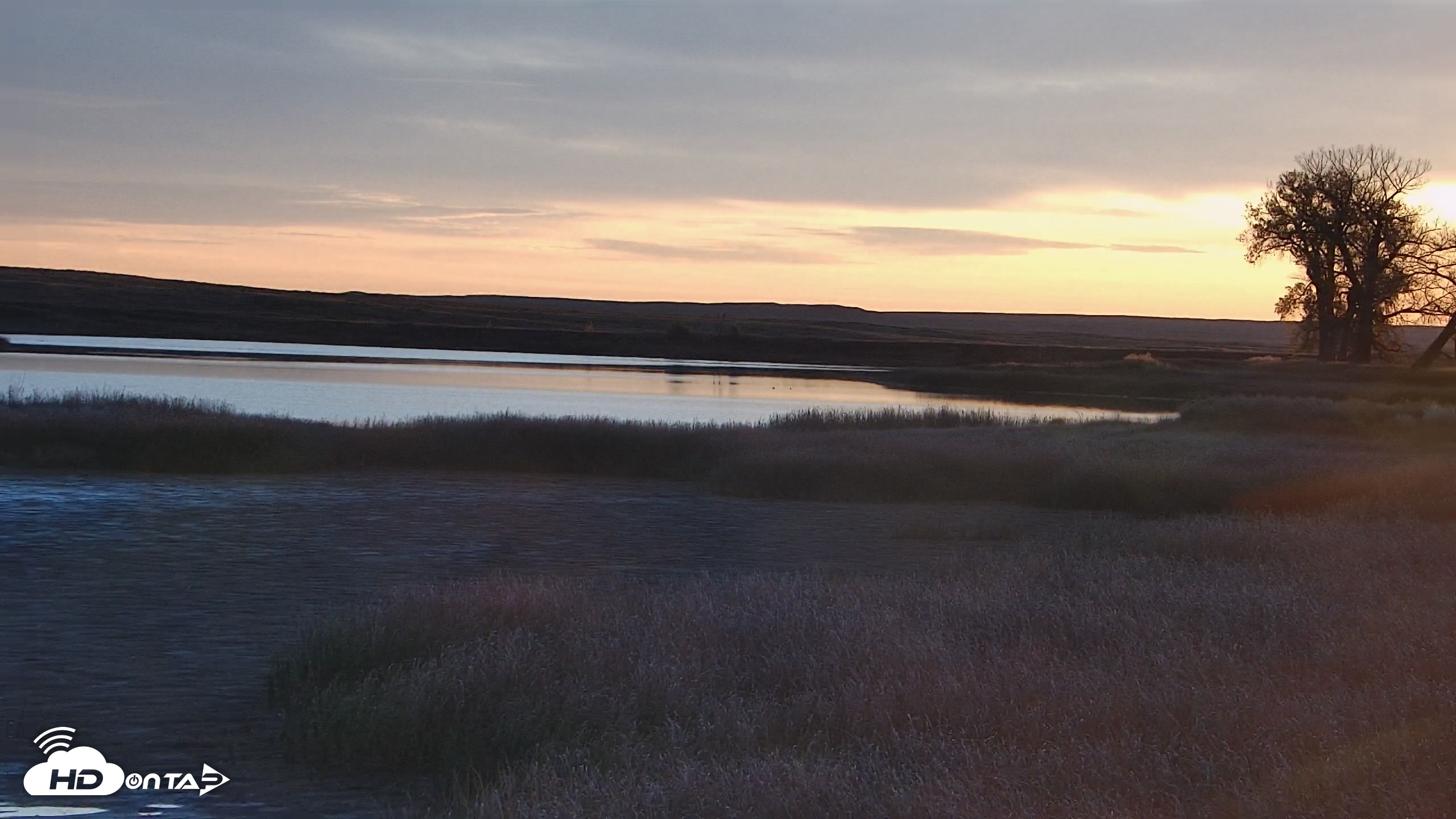 Snapshot of American Prairie Montana Bison Live Cam taken Oct 25, 2025, 7:53am MDT