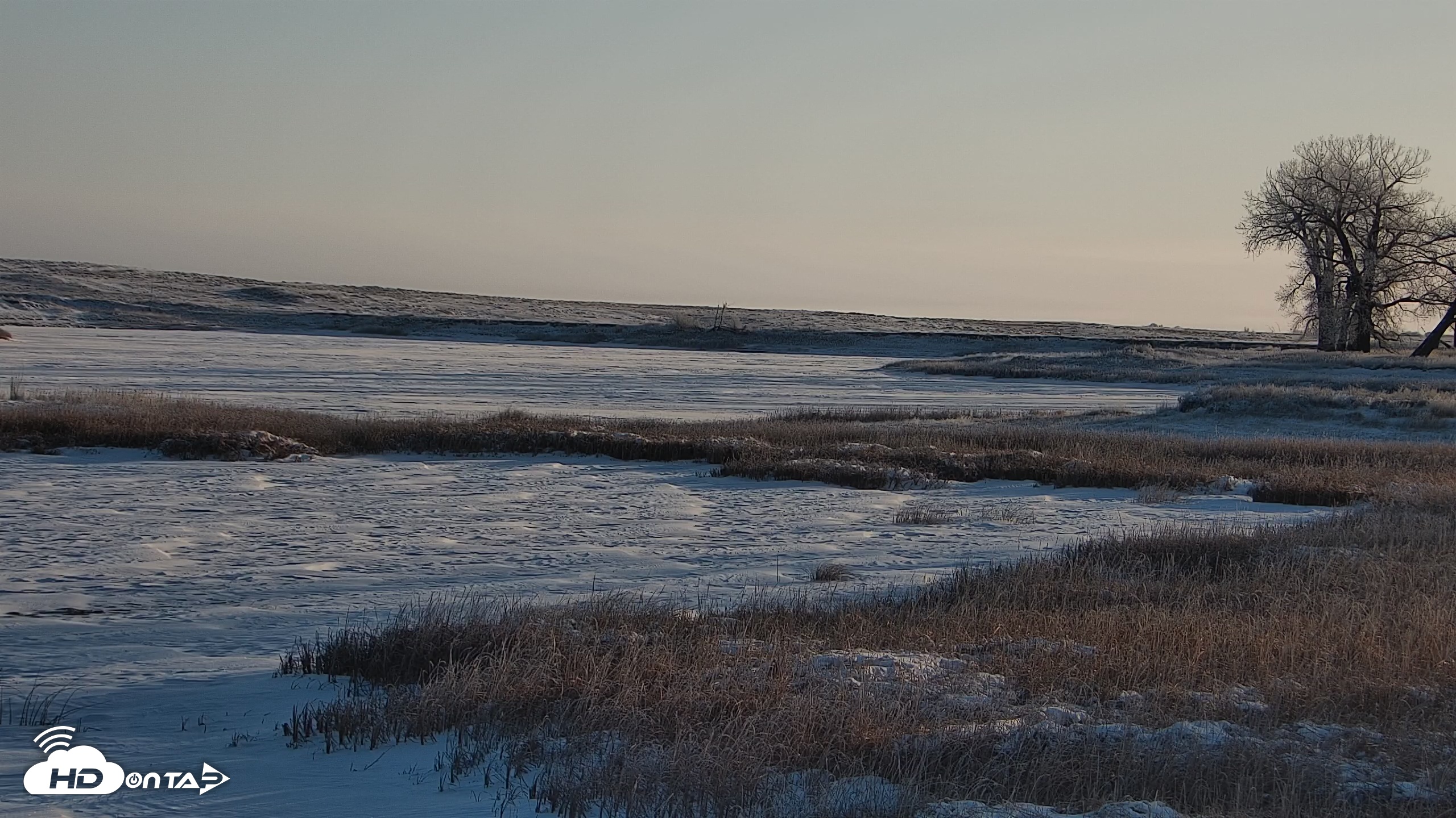 Snapshot of American Prairie Montana Bison Live Cam taken Nov 30, 2025, 8:40am MST