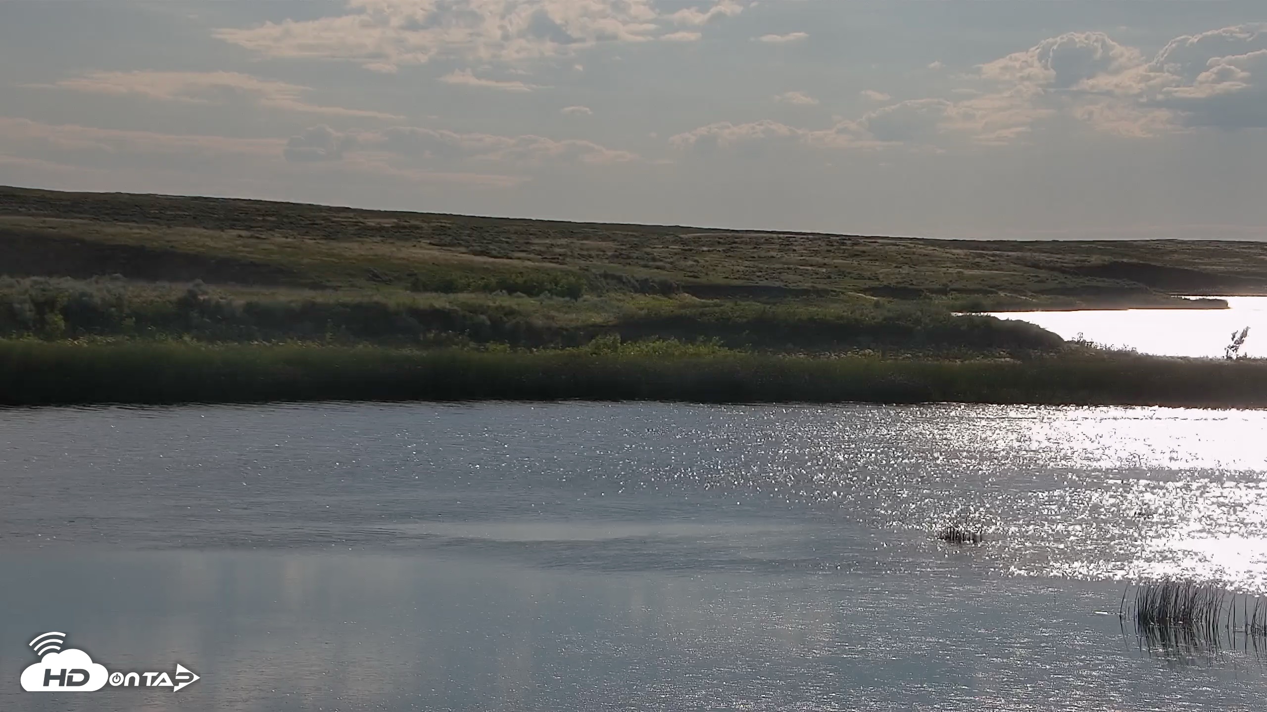 Snapshot of American Prairie Montana Bison Live Cam taken Jul 5, 2026, 7:54am MDT