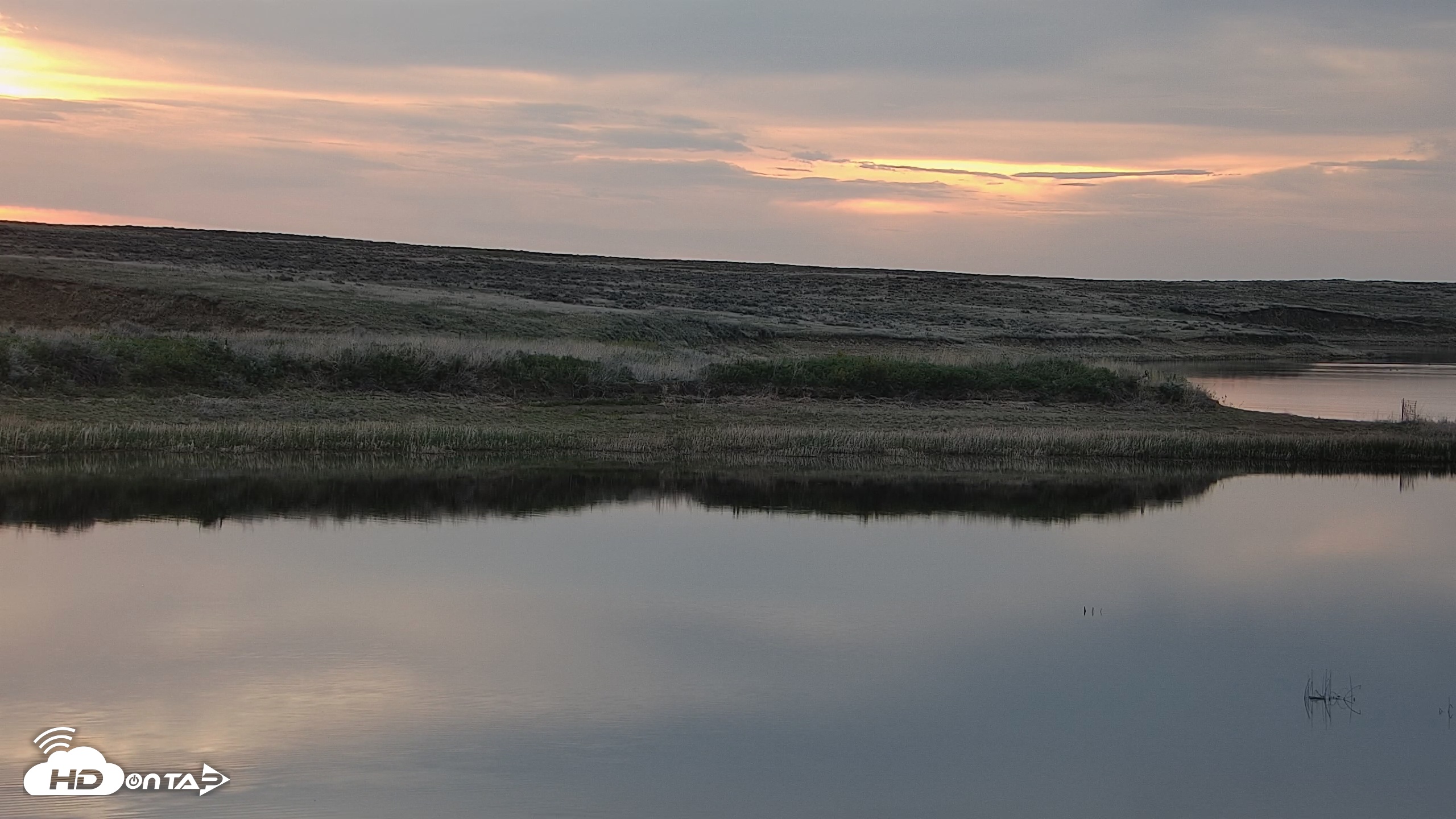 Snapshot of American Prairie Montana Bison Live Cam taken May 11, 2025, 5:53am MDT