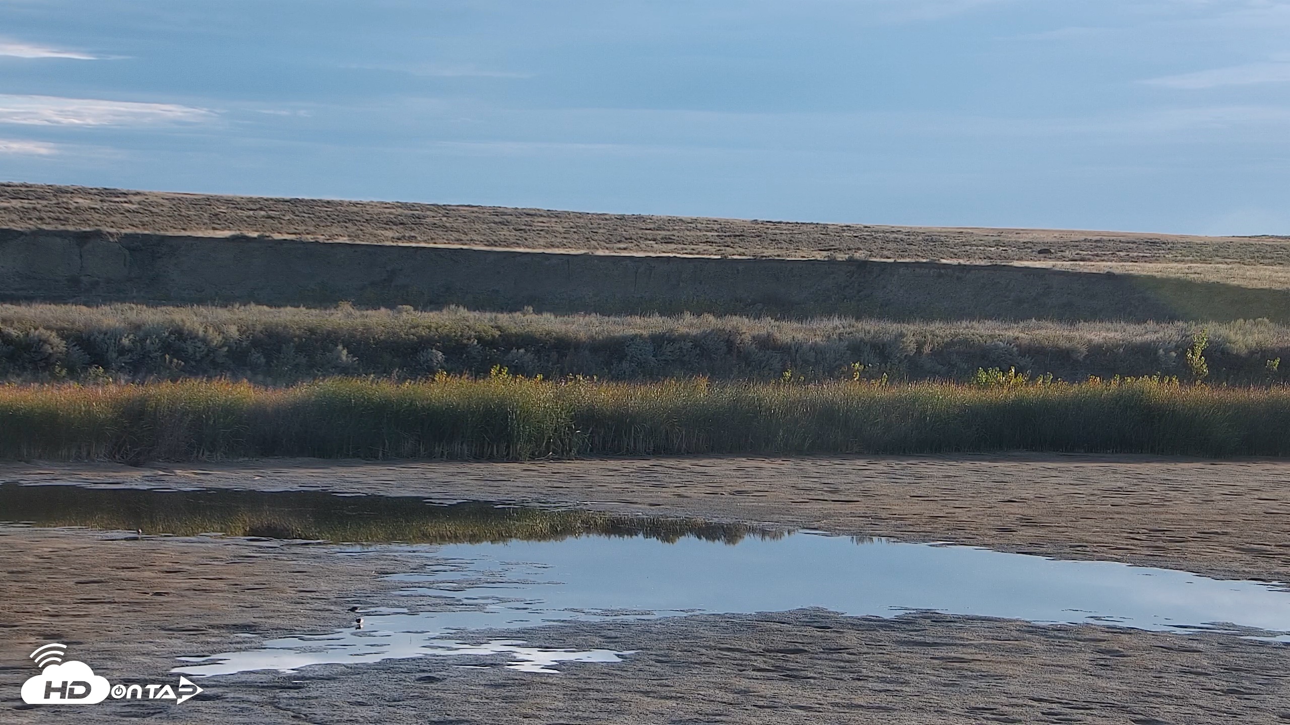 Snapshot of American Prairie Montana Bison Live Cam taken Sep 30, 2026, 8:02am MDT