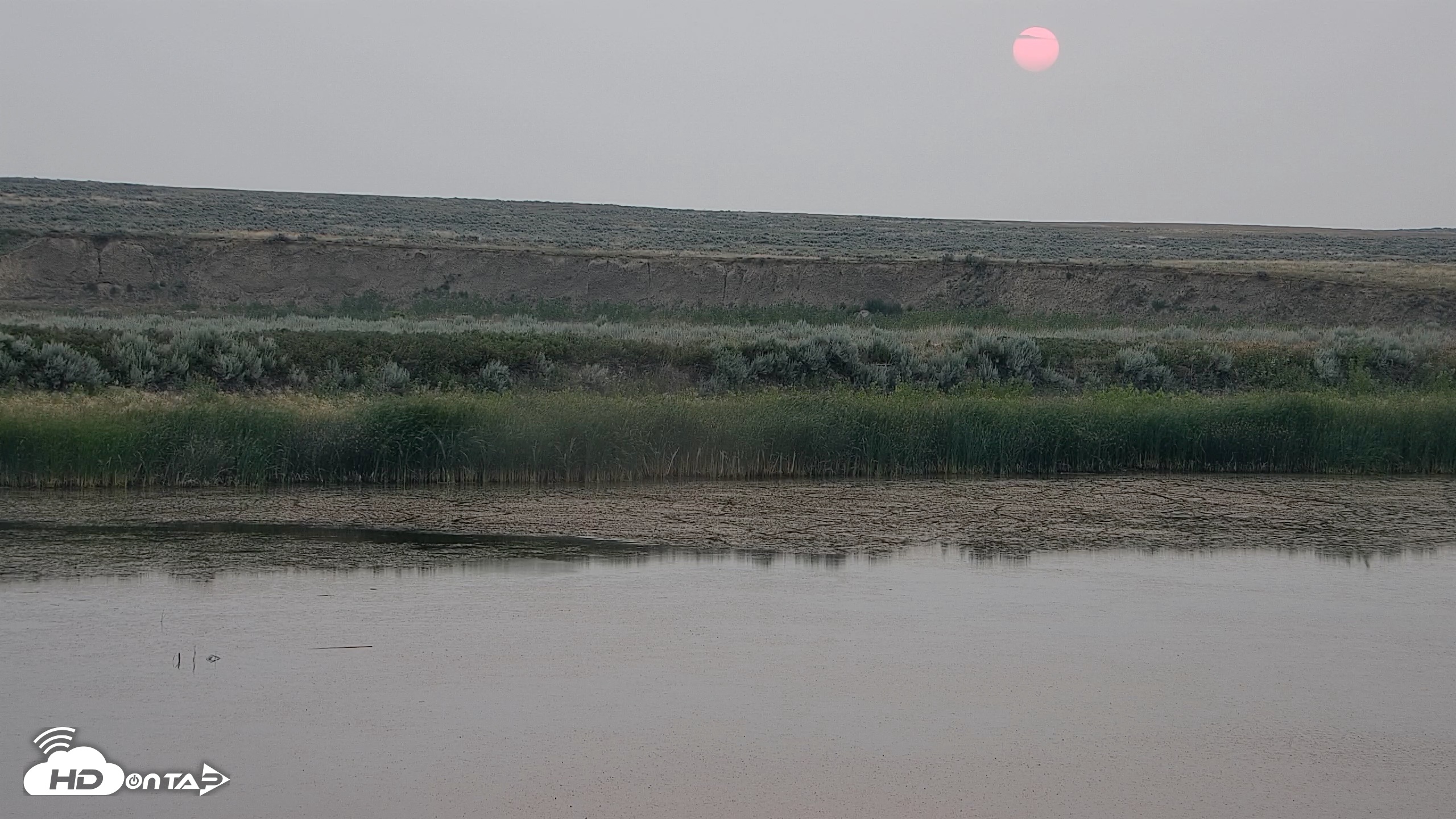 Snapshot of American Prairie Montana Bison Live Cam taken Jul 28, 2026, 6:05am MDT
