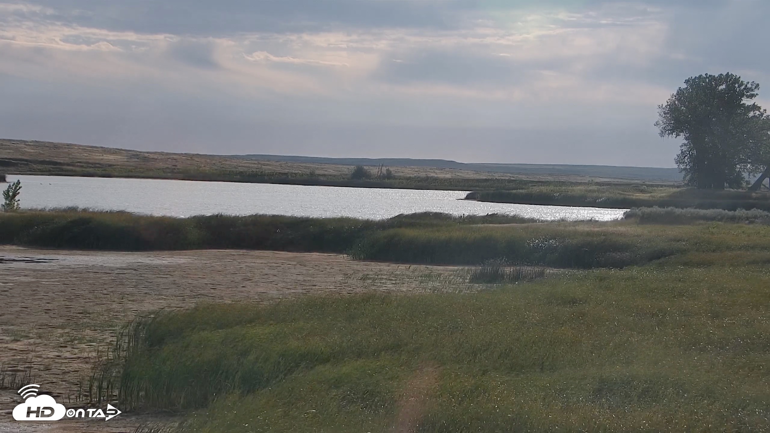 Snapshot of American Prairie Montana Bison Live Cam taken Sep 5, 2026, 8:37am MDT