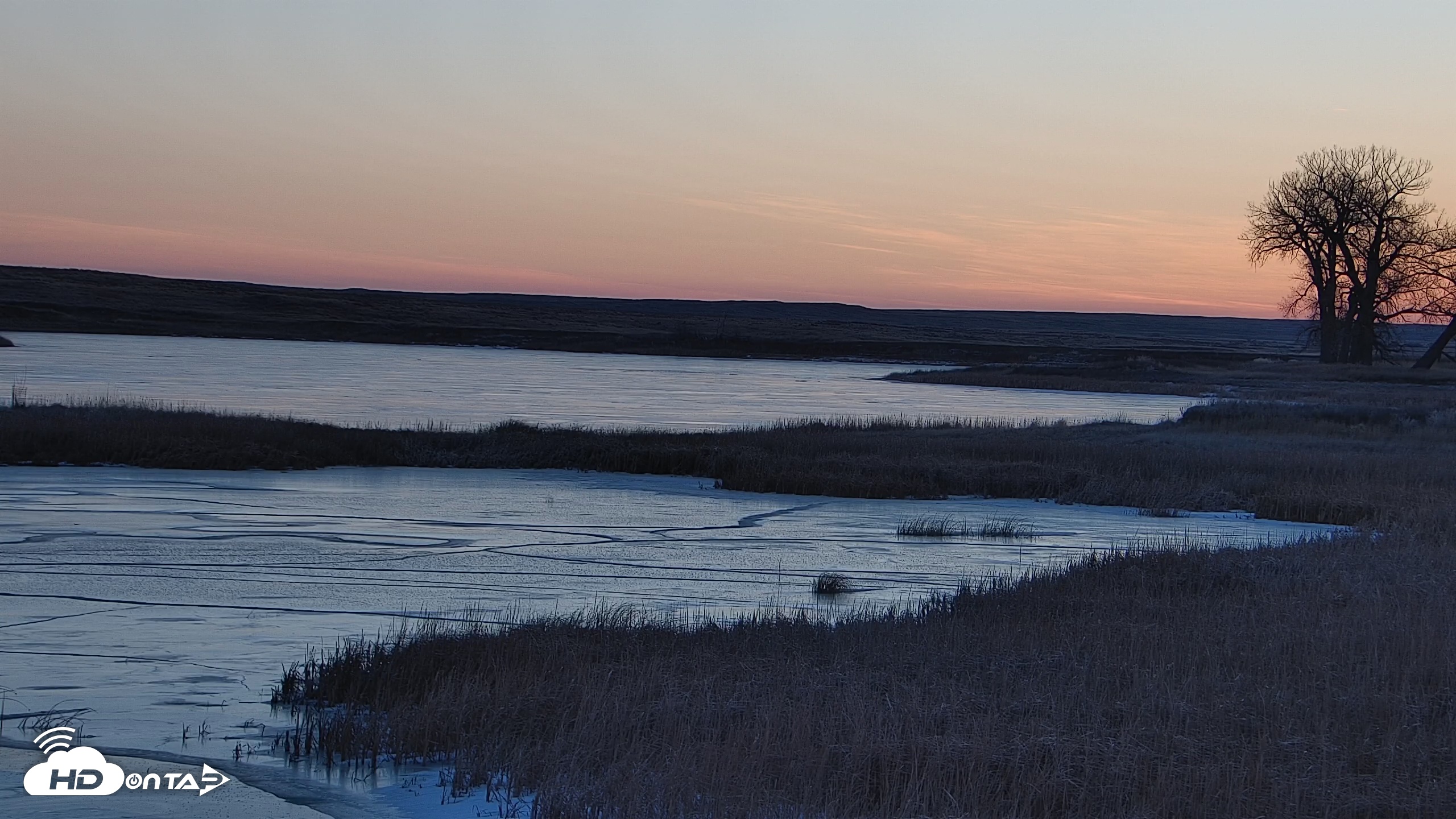 Snapshot of American Prairie Montana Bison Live Cam taken Dec 31, 2025, 7:58am MST