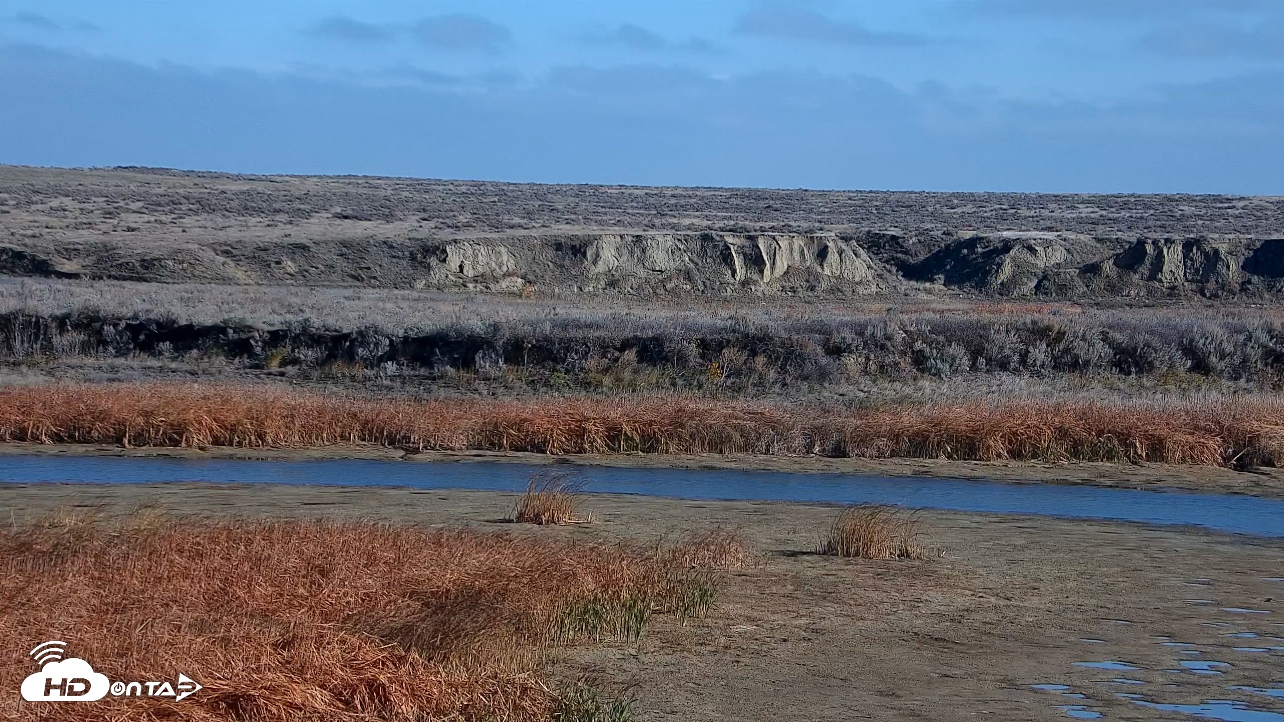 Snapshot of American Prairie Montana Bison Live Cam taken Oct 28, 2026, 11:27am MDT