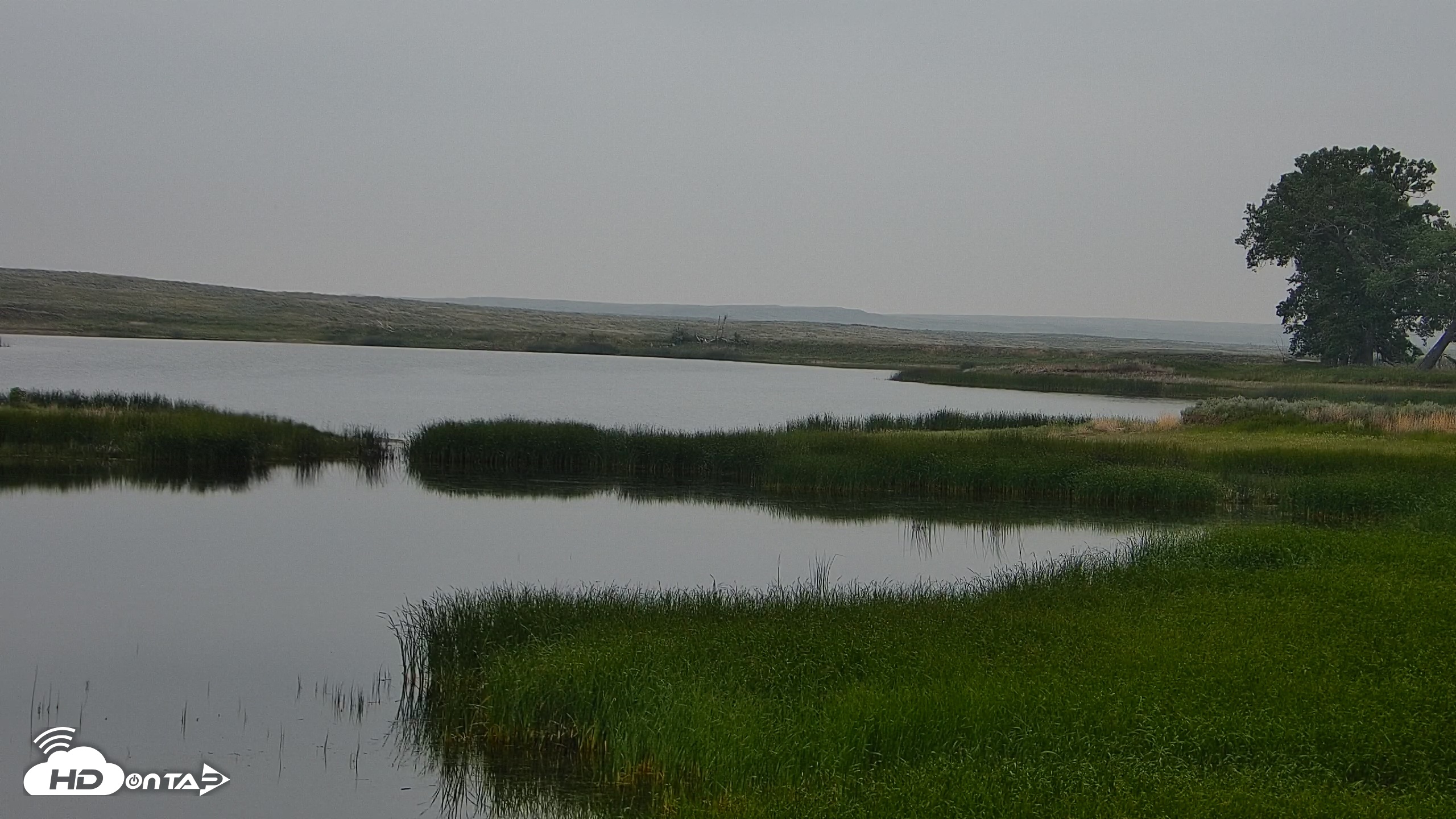 Snapshot of American Prairie Montana Bison Live Cam taken Jun 13, 2025, 5:42am MDT
