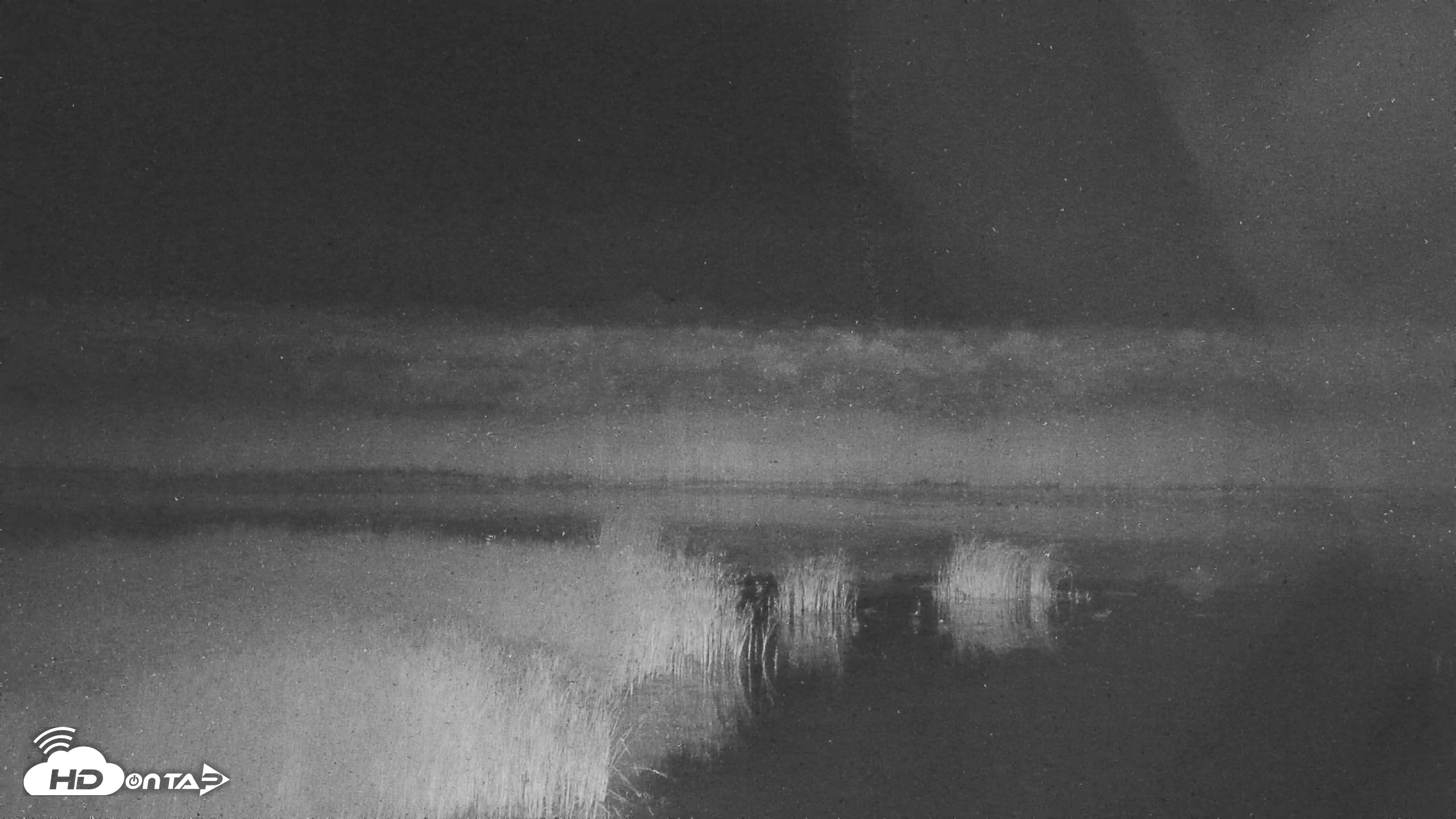 Snapshot of American Prairie Montana Bison Live Cam taken Jul 26, 2026, 2:53am MDT