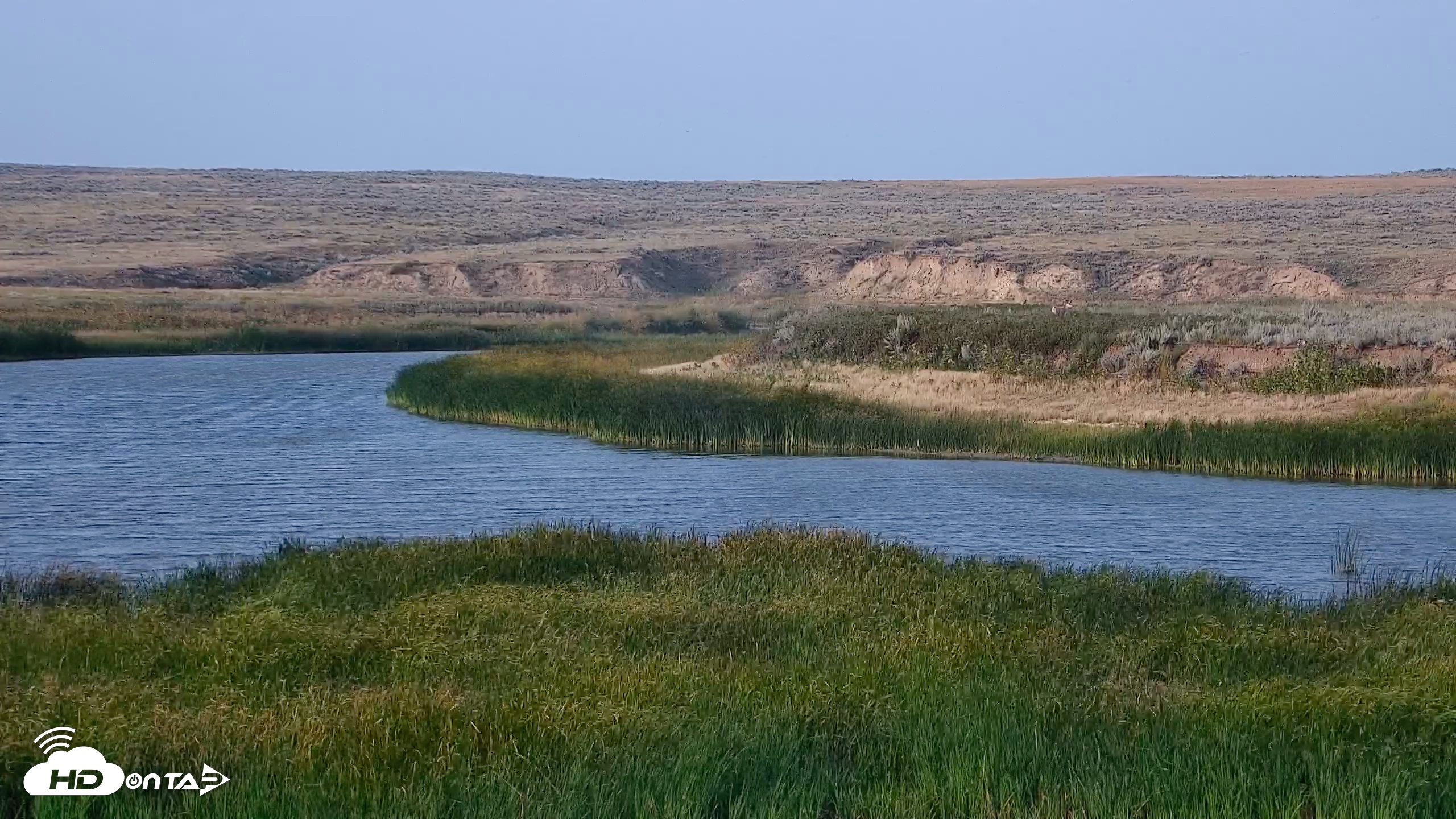 Snapshot of American Prairie Montana Bison Live Cam taken Sep 2, 2025, 6:12pm MDT