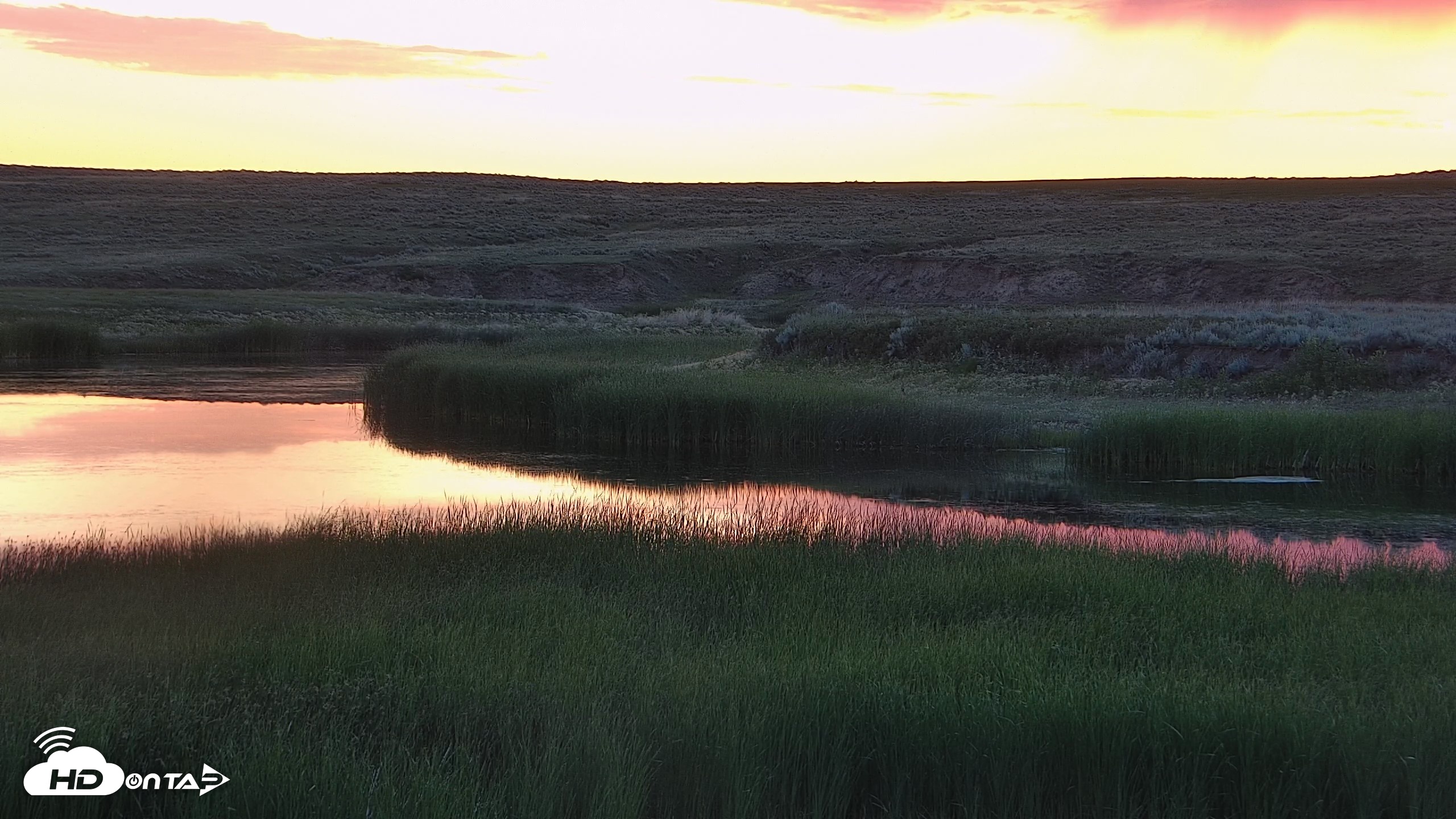 Snapshot of American Prairie Montana Bison Live Cam taken Jul 5, 2026, 5:20am MDT