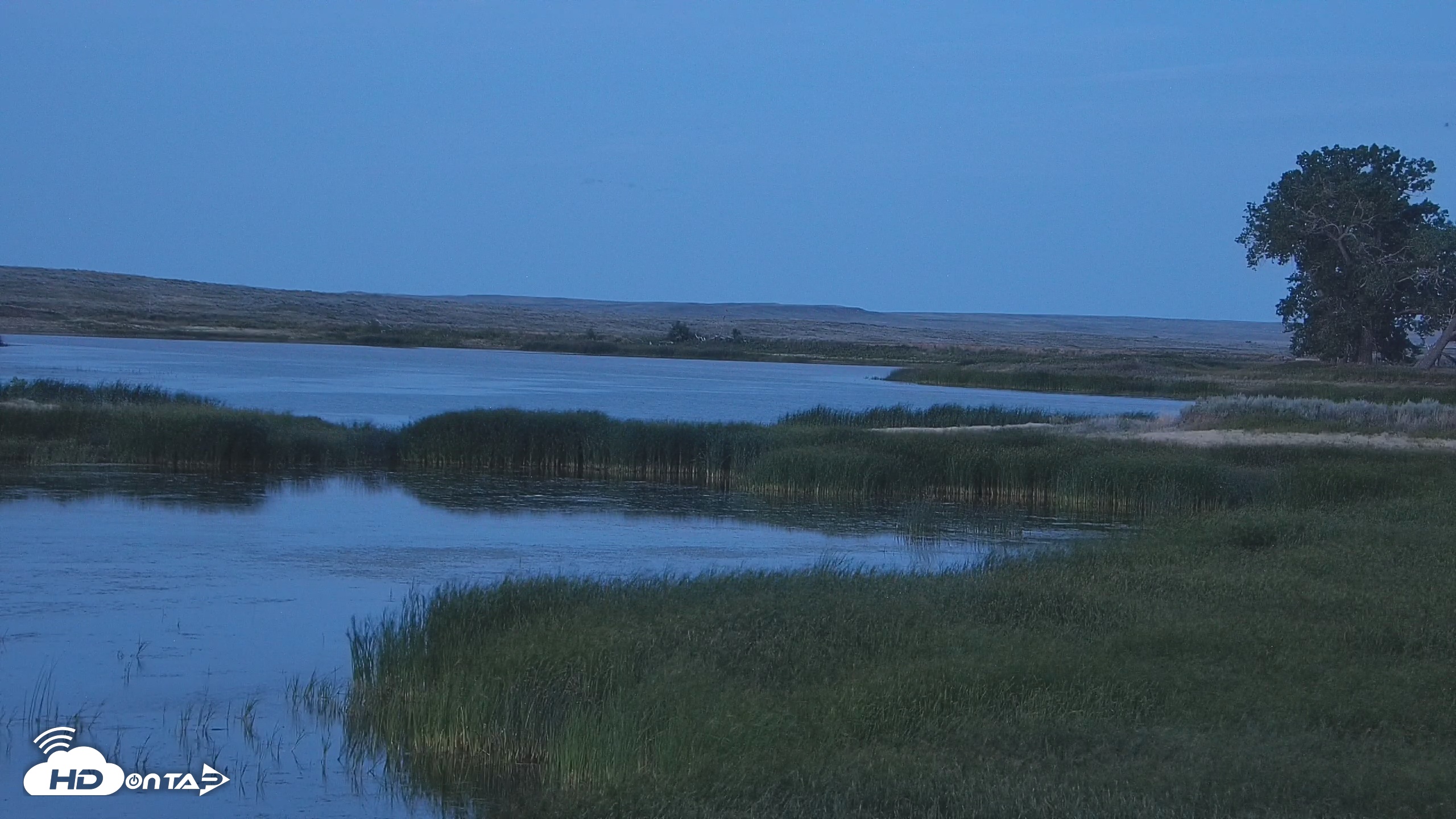 Snapshot of American Prairie Montana Bison Live Cam taken Jul 20, 2025, 9:24pm MDT