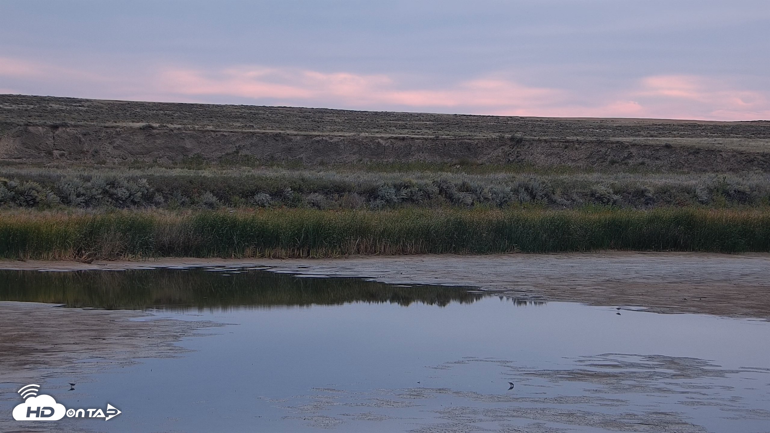 Snapshot of American Prairie Montana Bison Live Cam taken Sep 19, 2026, 8:00am MDT