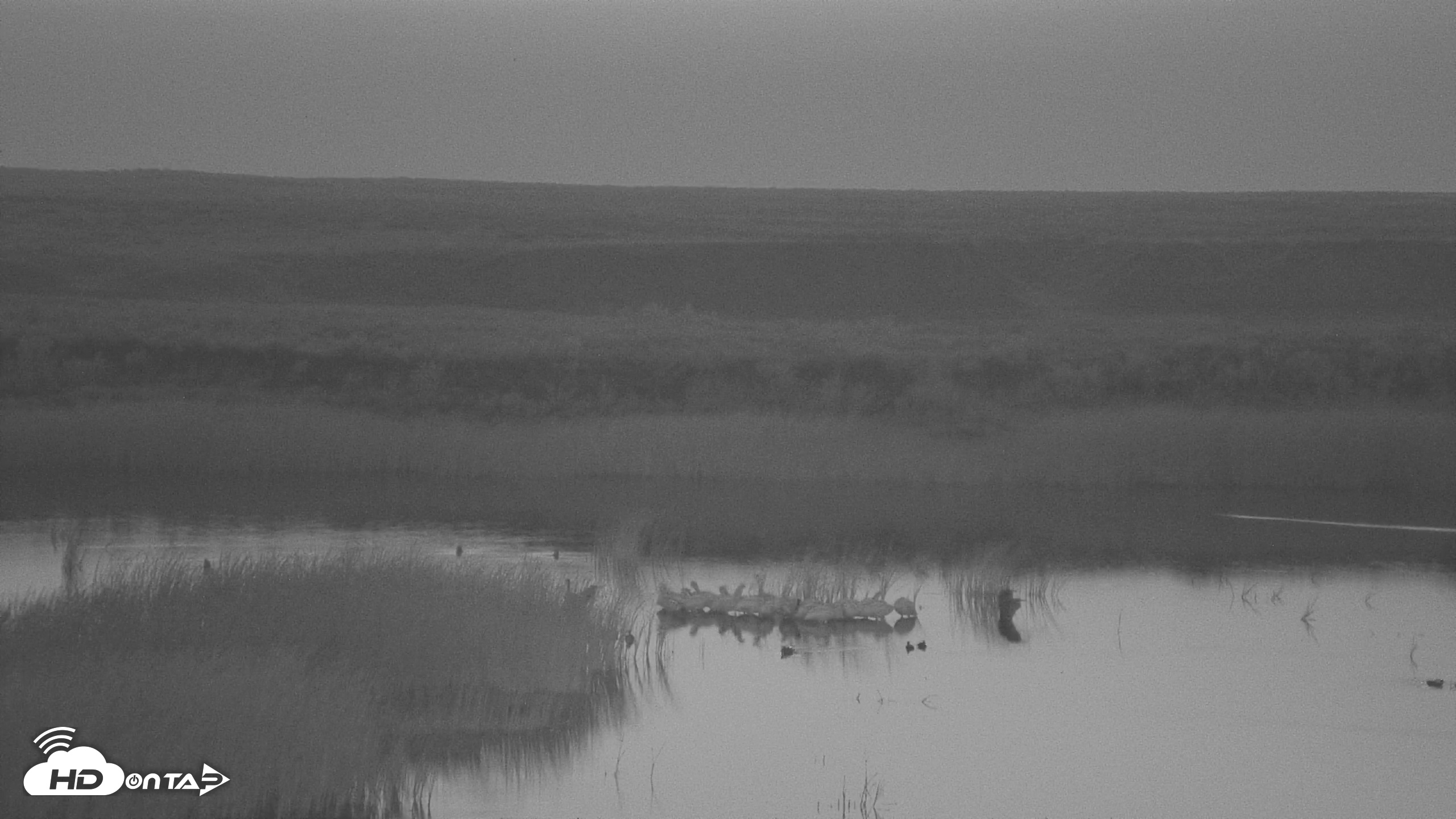 Snapshot of American Prairie Montana Bison Live Cam taken Aug 10, 2025, 5:17am MDT