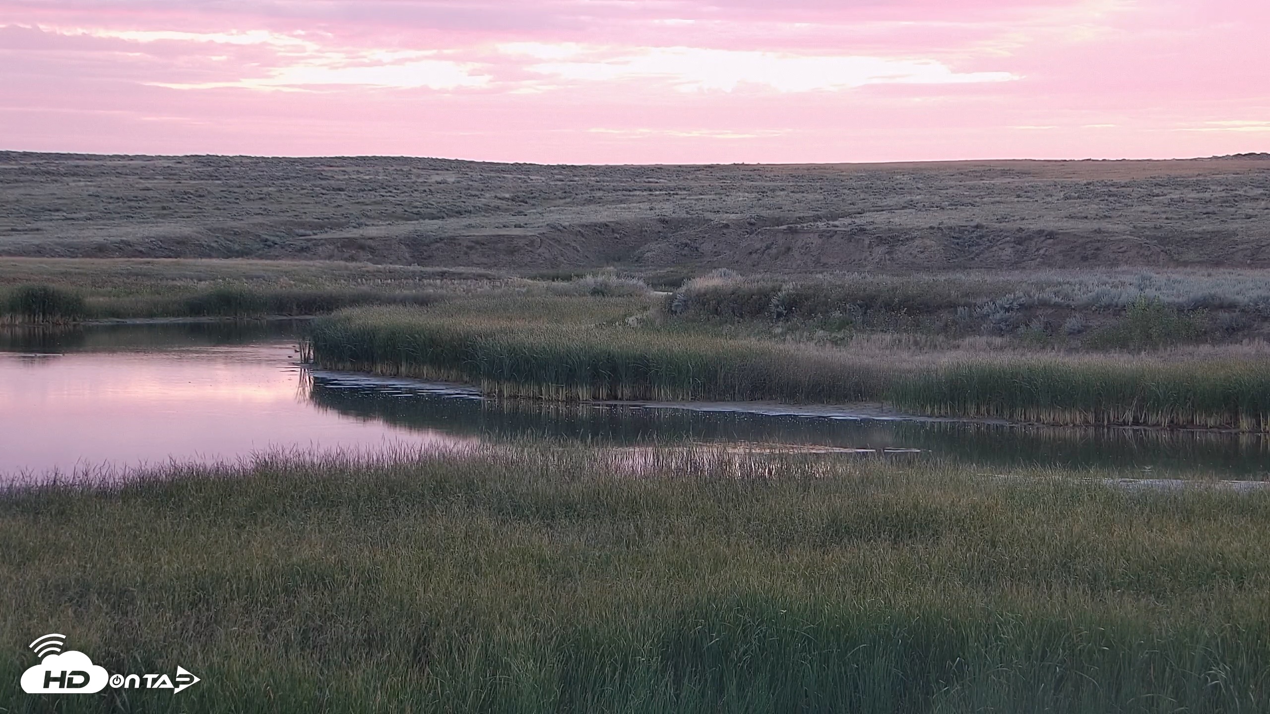 Snapshot of American Prairie Montana Bison Live Cam taken Sep 2, 2026, 6:31am MDT