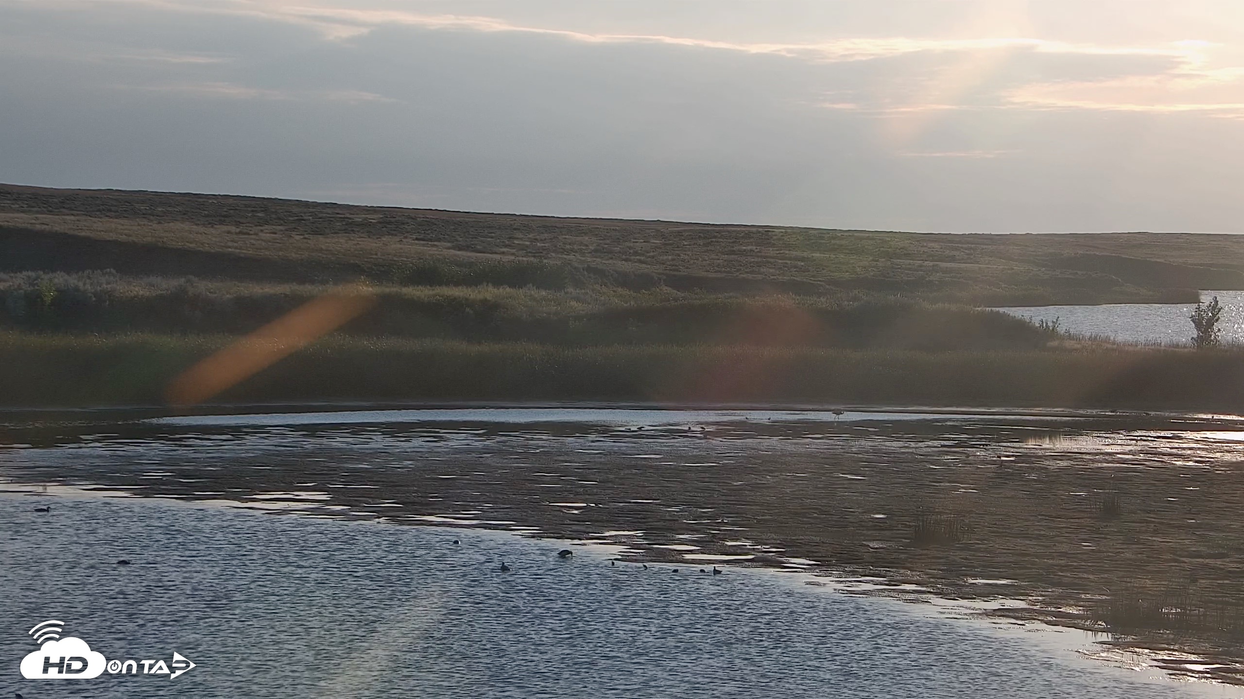 Snapshot of American Prairie Montana Bison Live Cam taken Aug 31, 2026, 7:21am MDT
