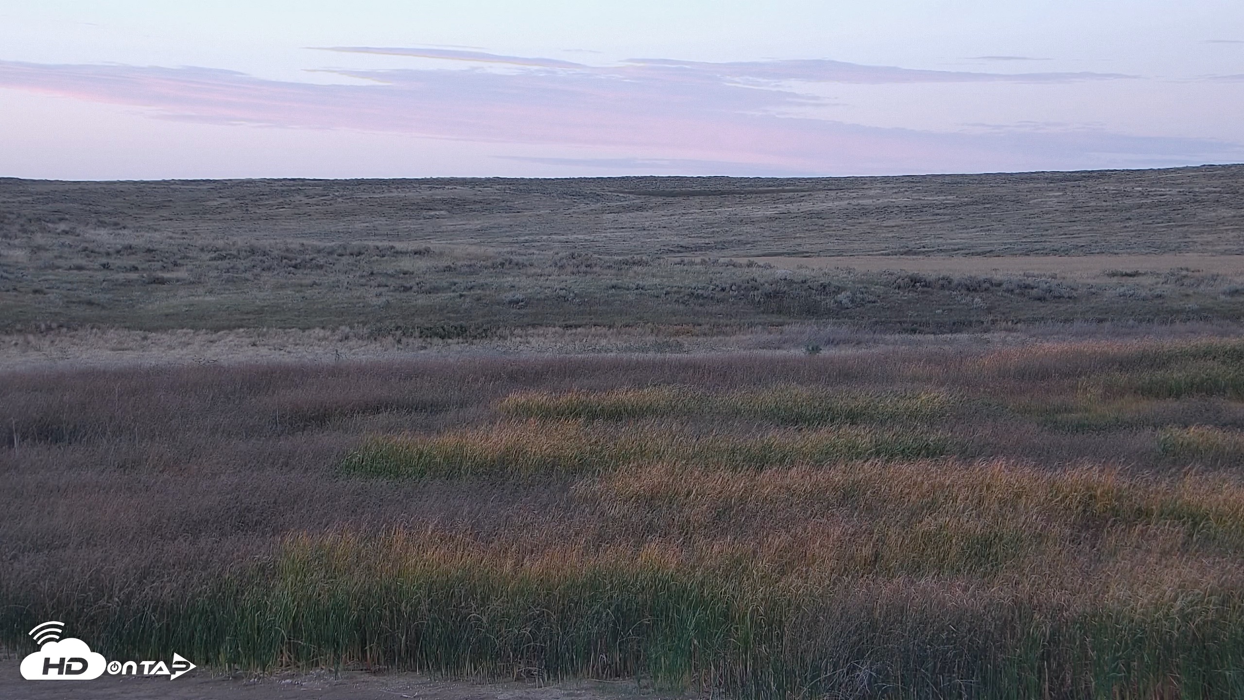 Snapshot of American Prairie Montana Bison Live Cam taken Sep 26, 2026, 7:03pm MDT