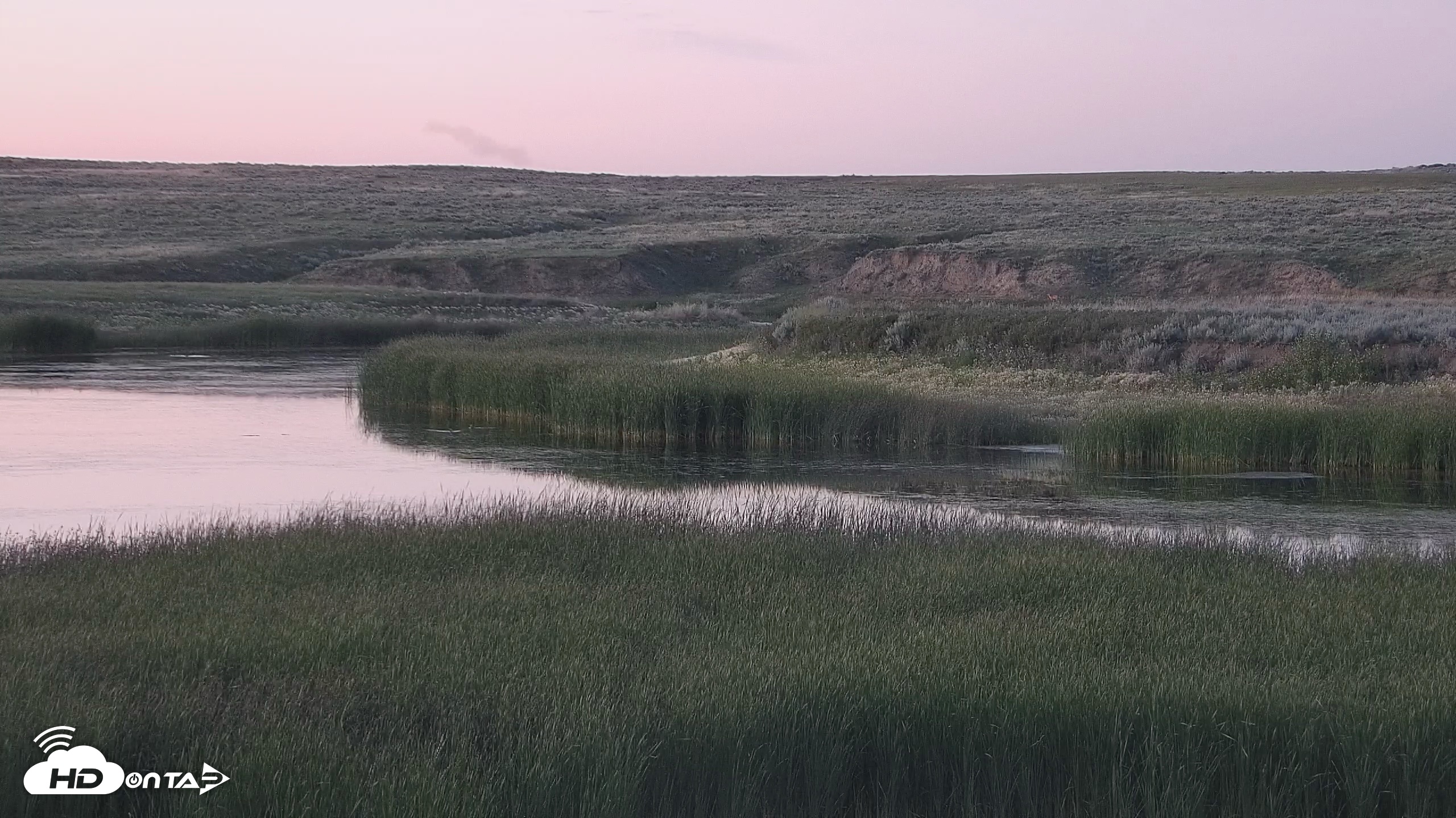 Snapshot of American Prairie Montana Bison Live Cam taken Jul 10, 2026, 9:30pm MDT