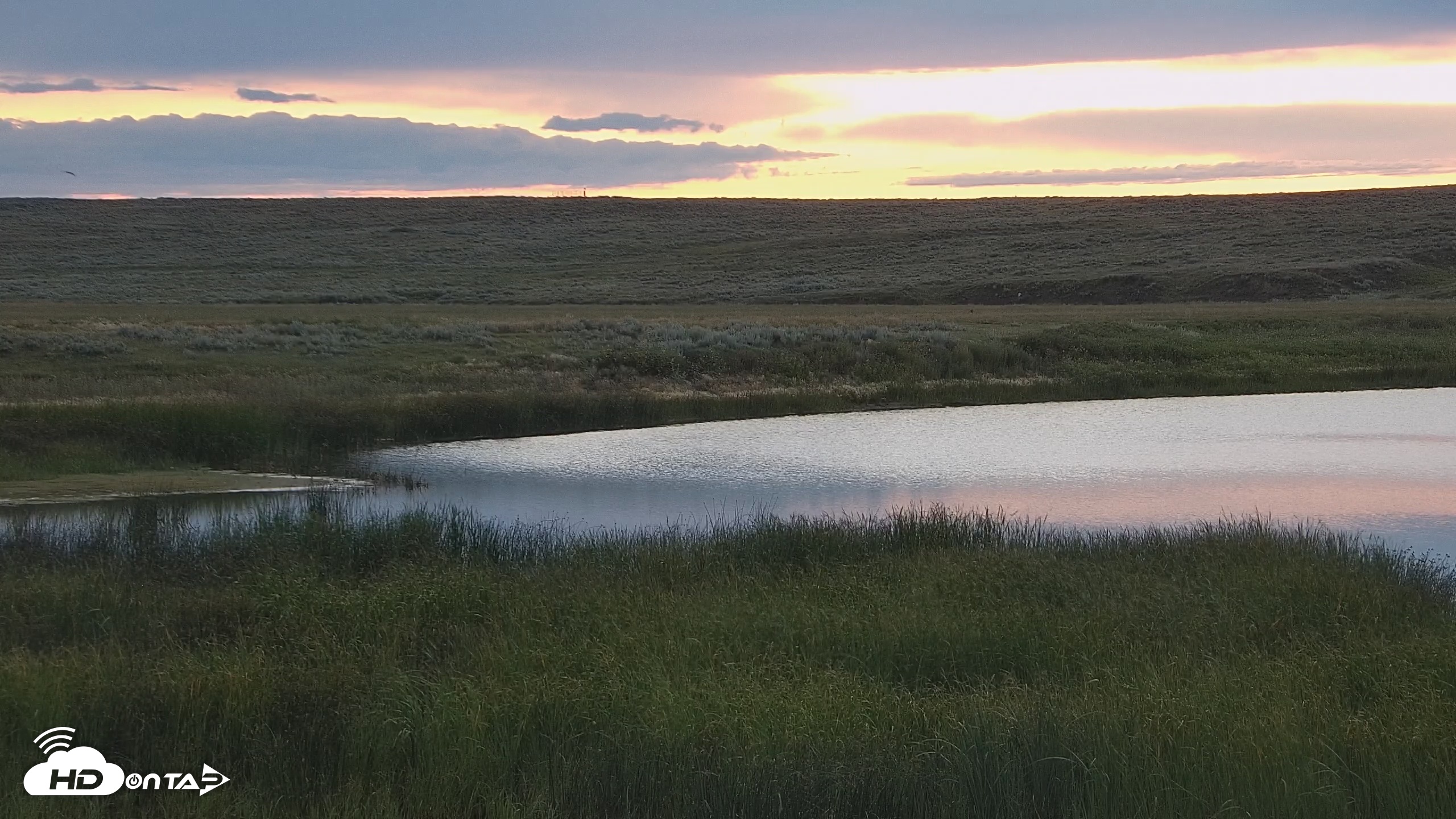 Snapshot of American Prairie Montana Bison Live Cam taken Jul 28, 2025, 5:36am MDT