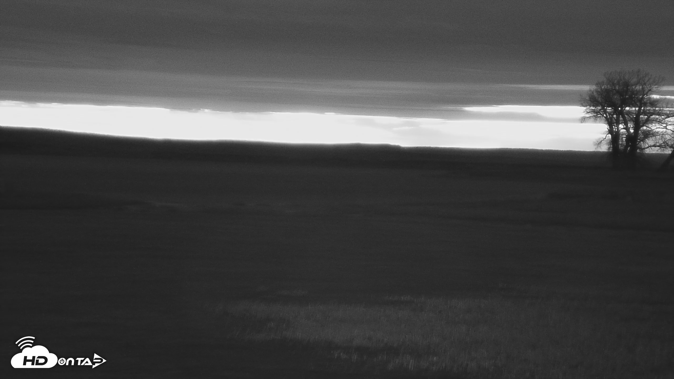 Snapshot of American Prairie Montana Bison Live Cam taken May 5, 2025, 5:13am MDT