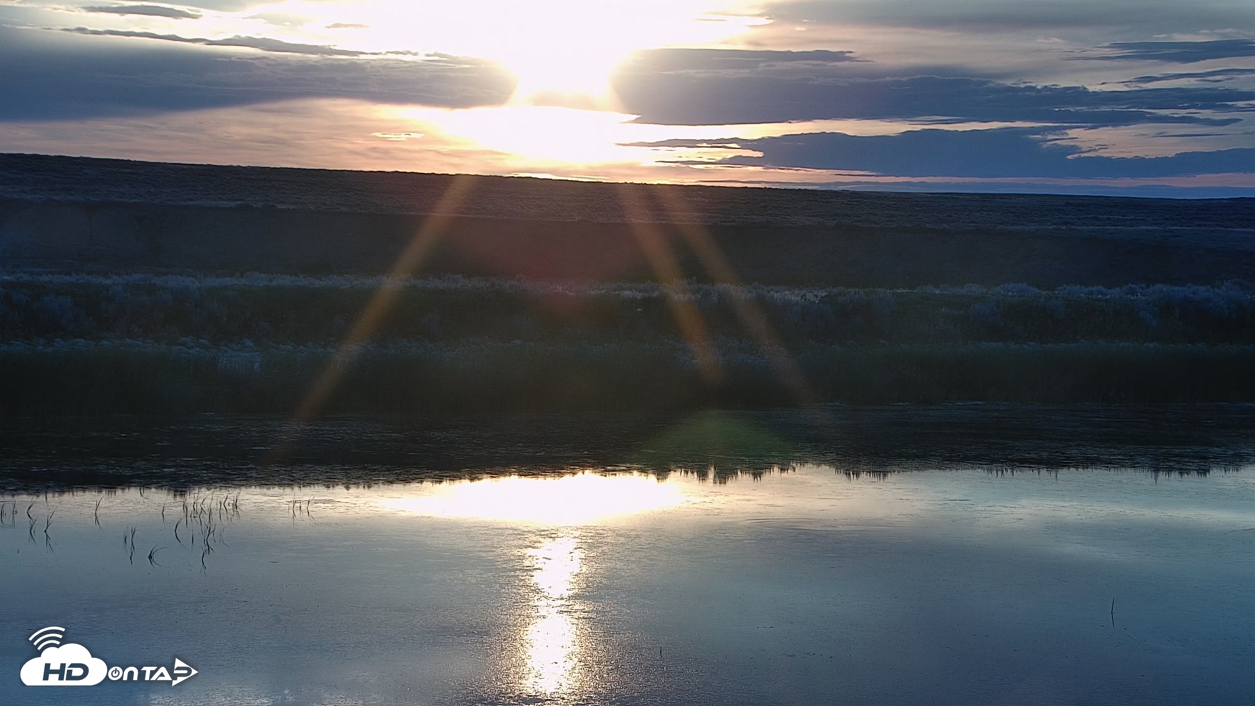 Snapshot of American Prairie Montana Bison Live Cam taken Jul 14, 2025, 5:49am MDT