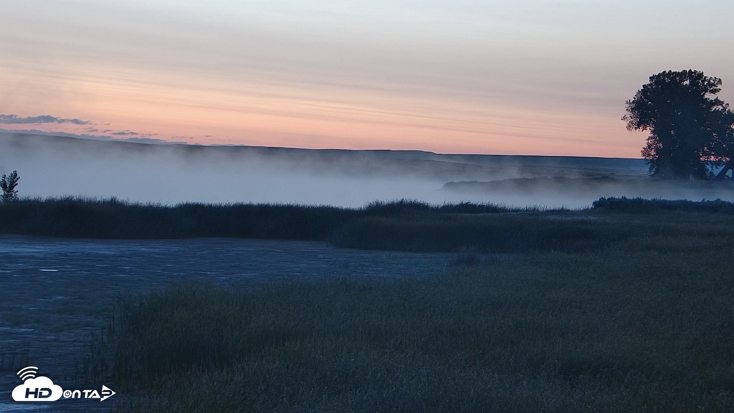 Snapshot of American Prairie Montana Bison Live Cam taken Sep 13, 2026, 6:32am MDT