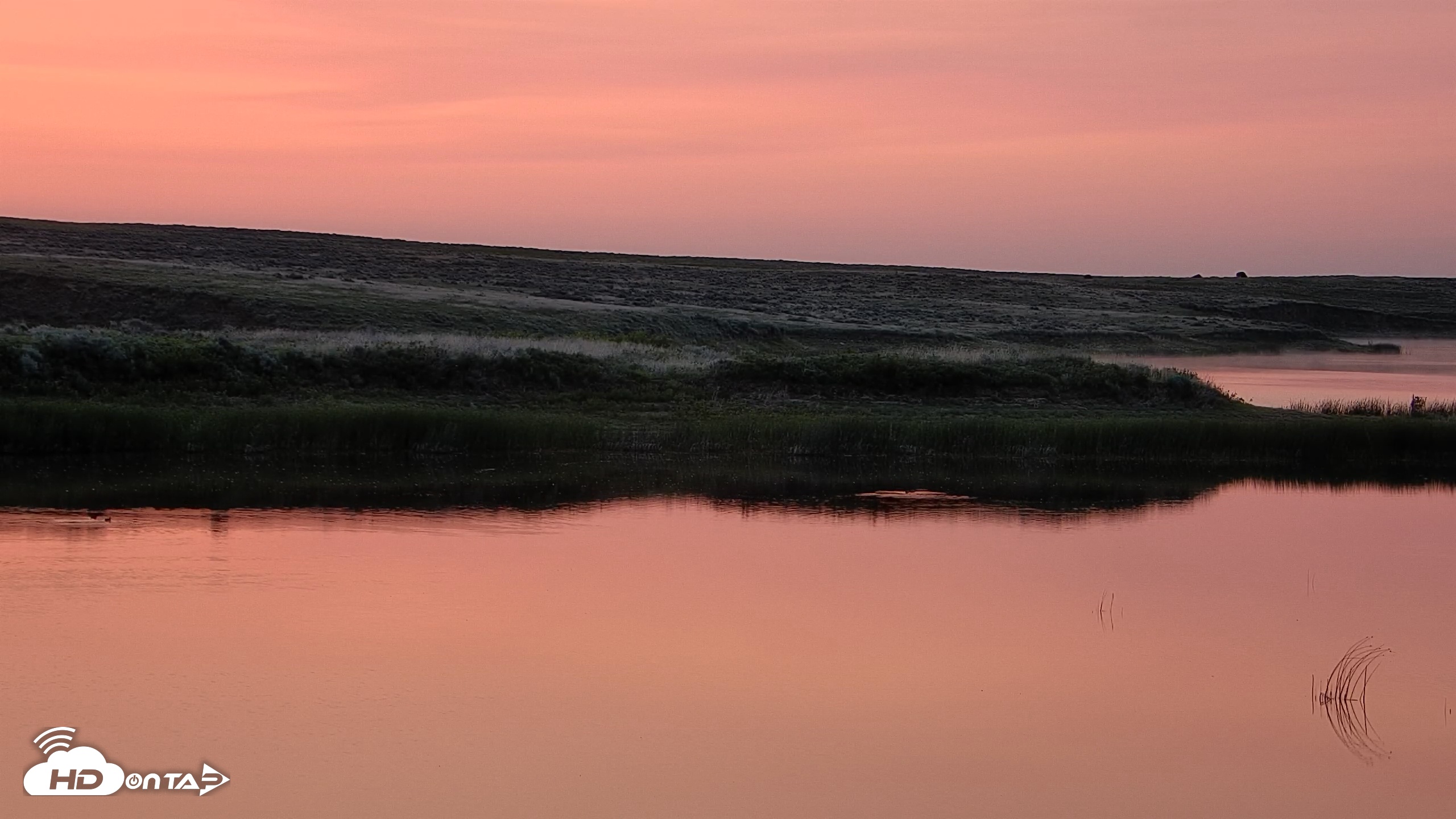 Snapshot of American Prairie Montana Bison Live Cam taken Jun 3, 2025, 5:18am MDT