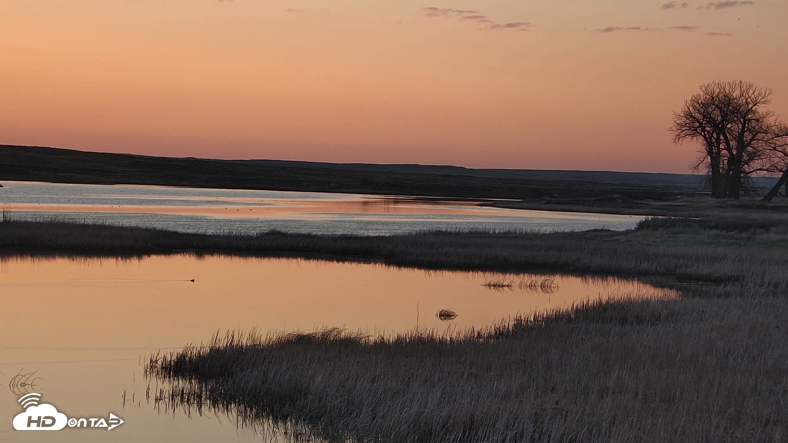 Snapshot of American Prairie Montana Bison Live Cam taken May 8, 2026, 5:42am MDT