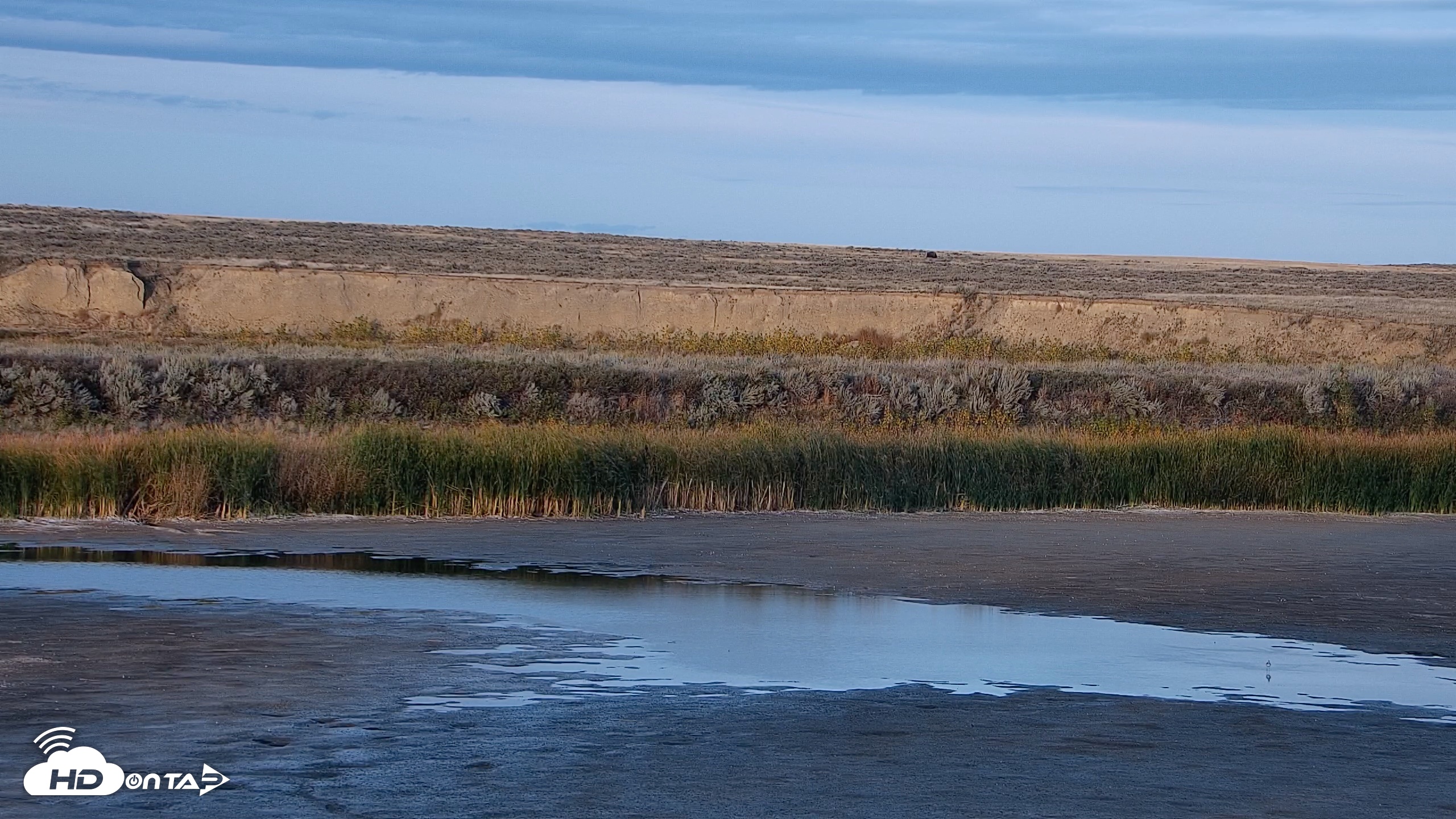 Snapshot of American Prairie Montana Bison Live Cam taken Oct 1, 2026, 6:17pm MDT