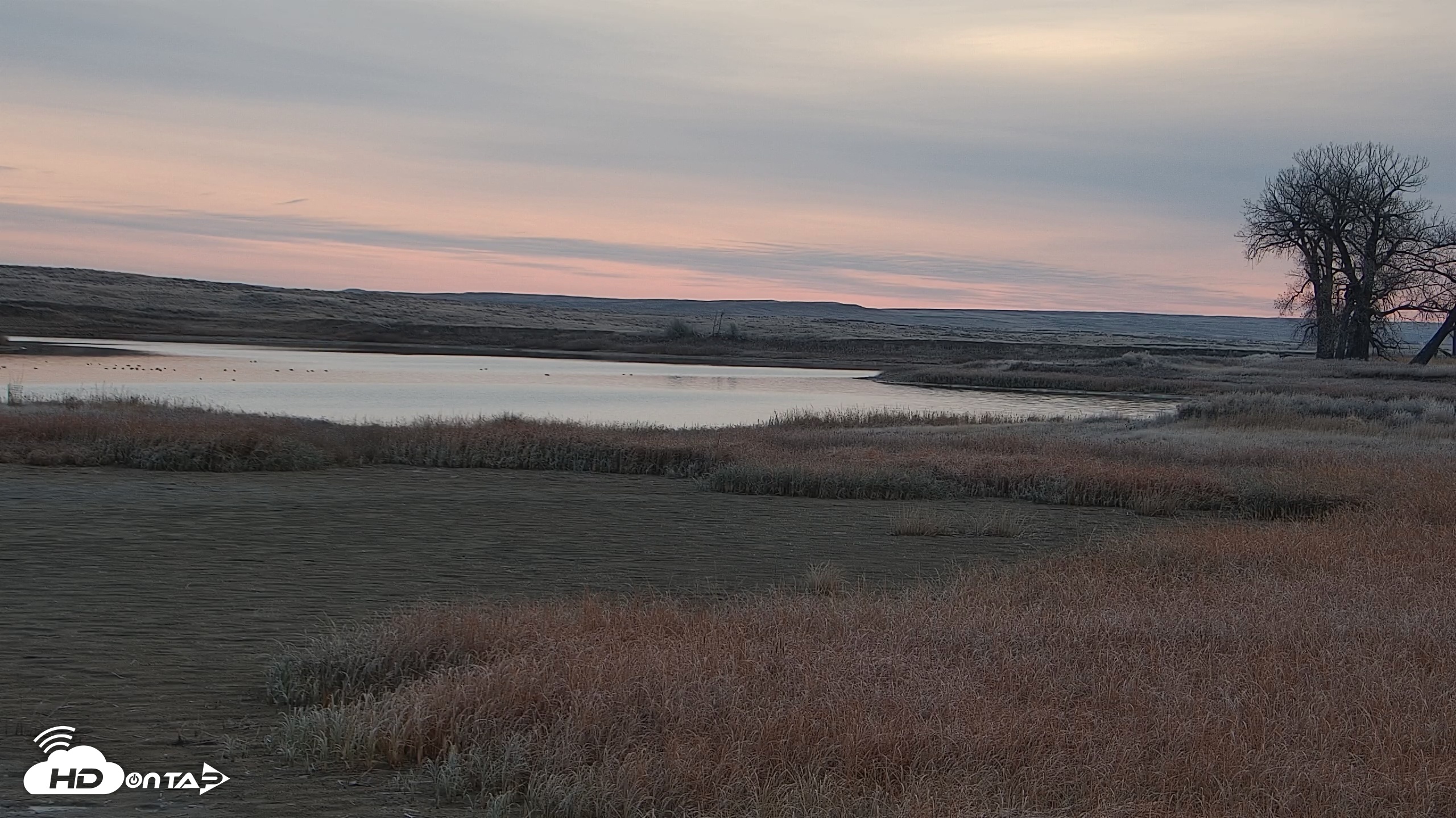 Snapshot of American Prairie Montana Bison Live Cam taken Nov 5, 2025, 7:48am MST