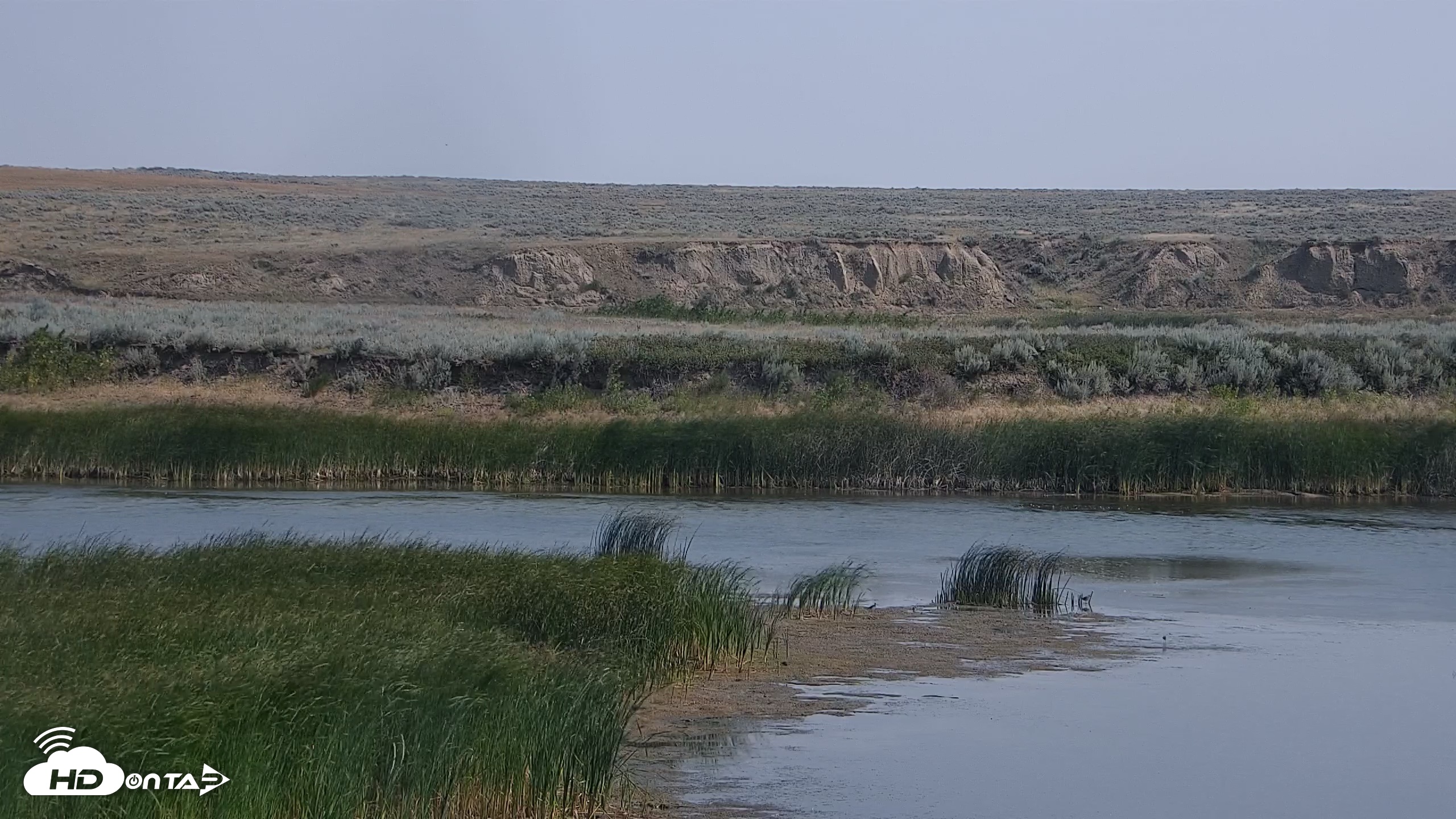 Snapshot of American Prairie Montana Bison Live Cam taken Aug 6, 2026, 11:37am MDT