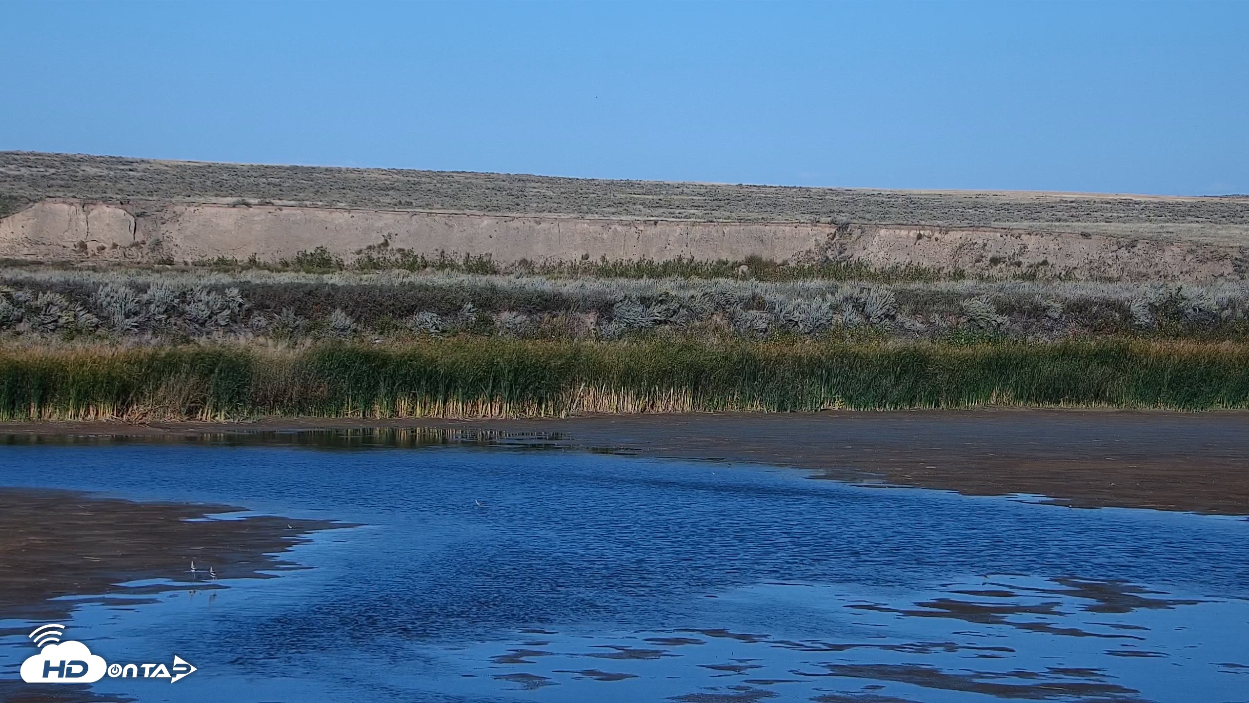 Snapshot of American Prairie Montana Bison Live Cam taken Sep 18, 2026, 4:58pm MDT