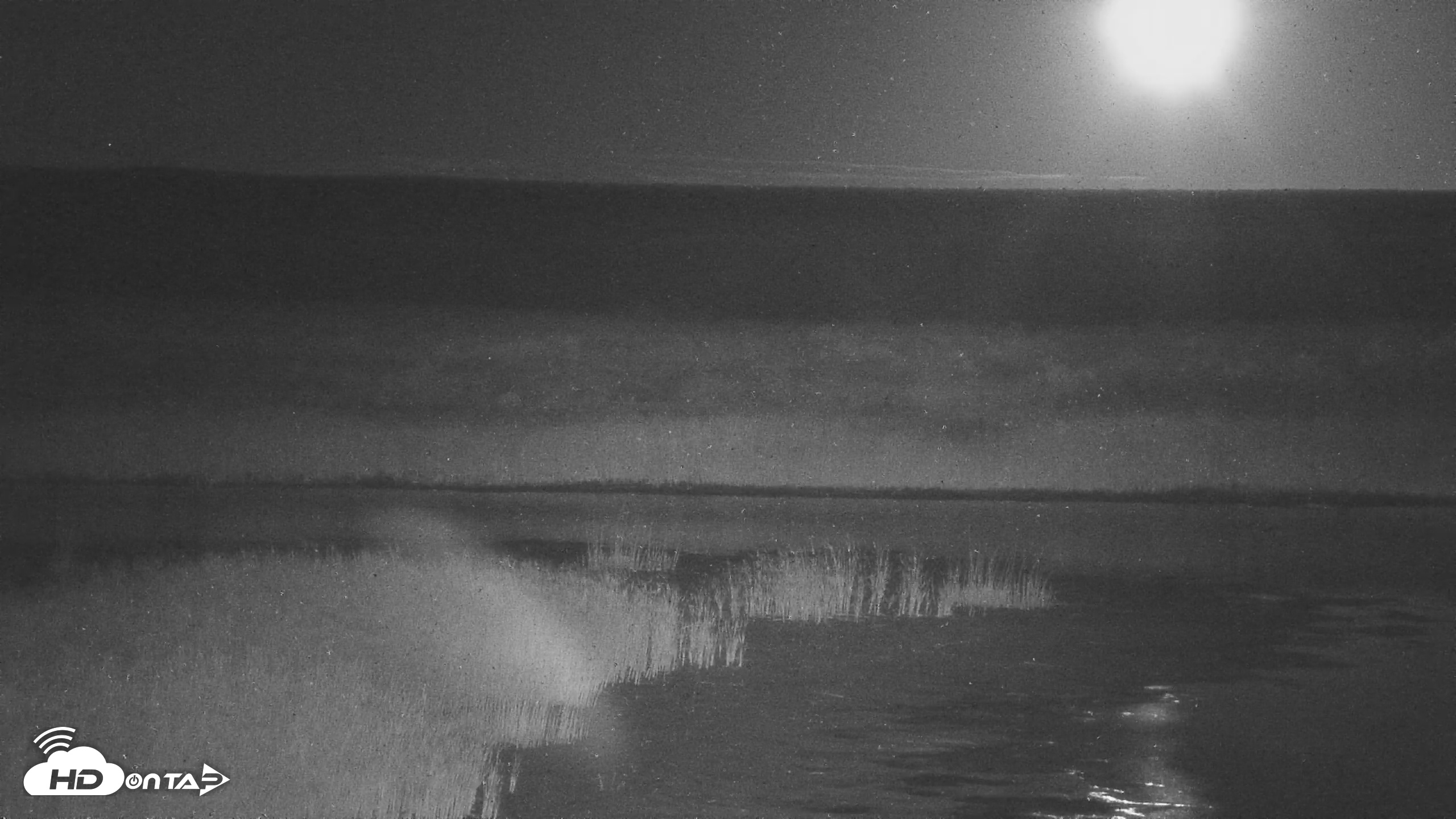 Snapshot of American Prairie Montana Bison Live Cam taken Oct 10, 2025, 8:43pm MDT