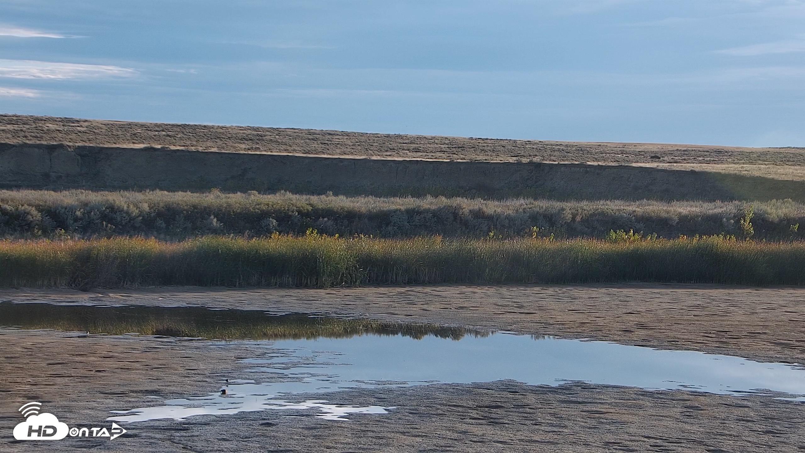 Snapshot of American Prairie Montana Bison Live Cam taken Sep 30, 2026, 8:03am MDT