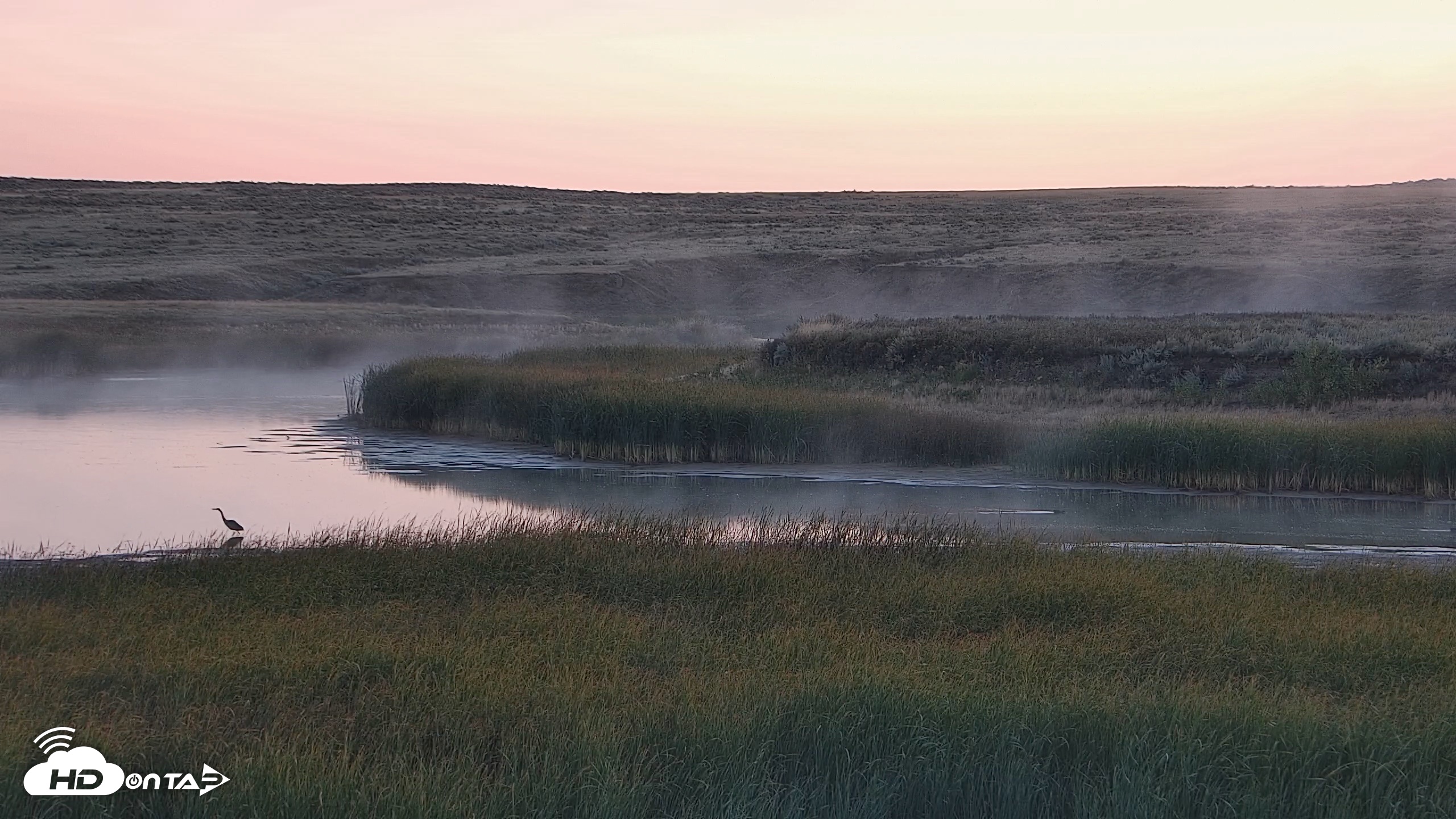 Snapshot of American Prairie Montana Bison Live Cam taken Sep 13, 2026, 6:46am MDT