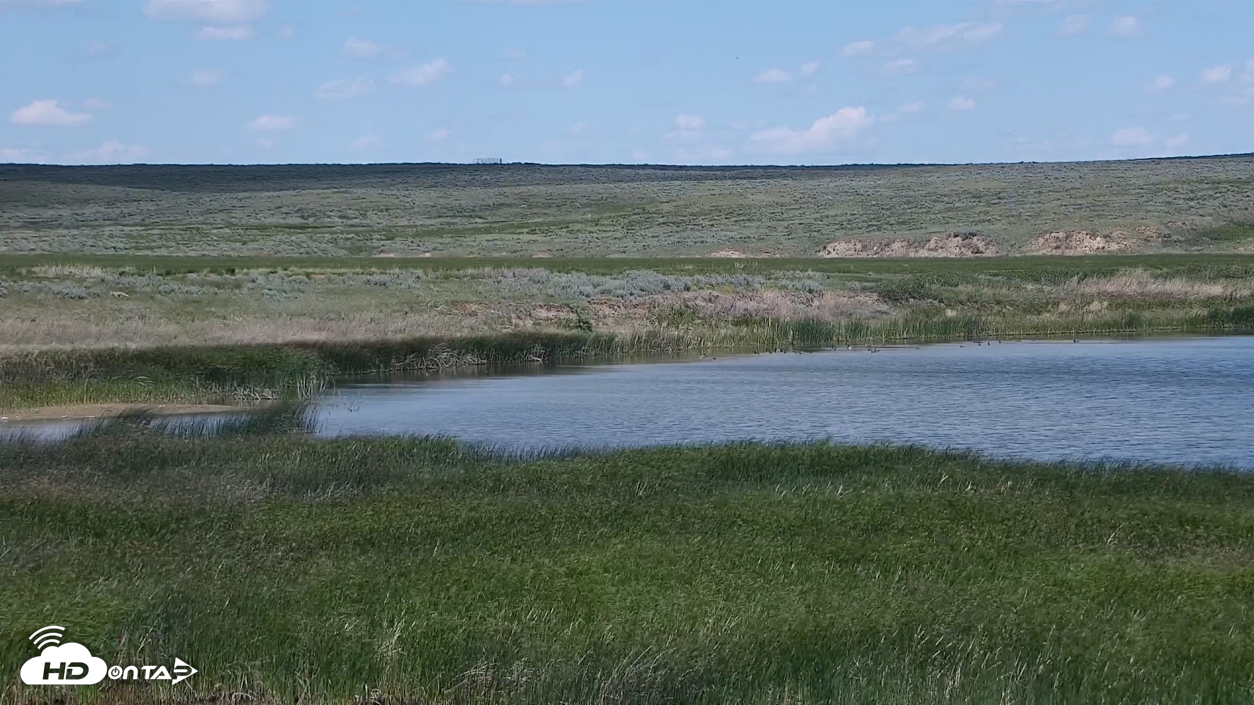 Snapshot of American Prairie Montana Bison Live Cam taken Jun 15, 2026, 1:30pm MDT