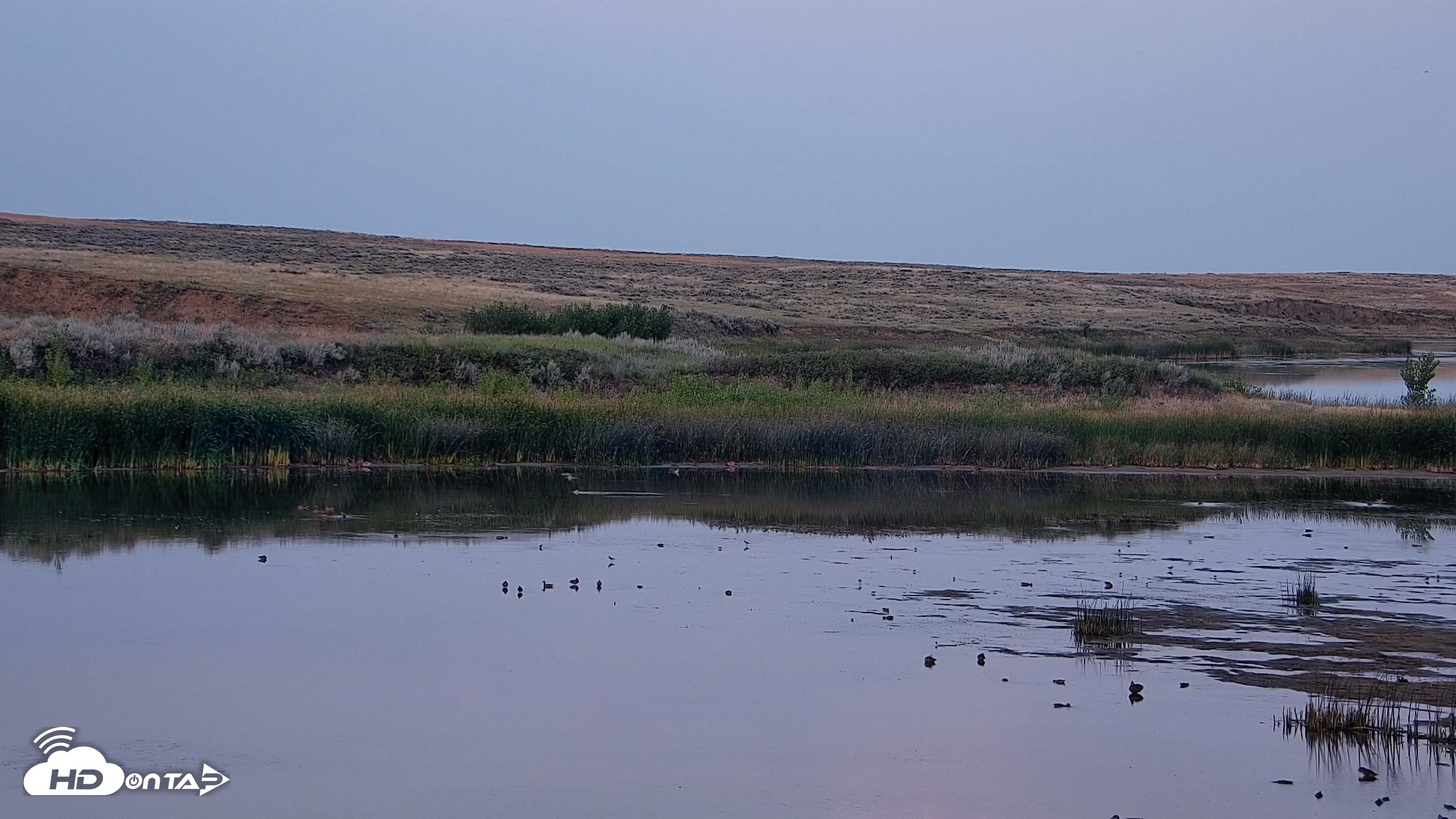 Snapshot of American Prairie Montana Bison Live Cam taken Aug 17, 2026, 8:00pm MDT
