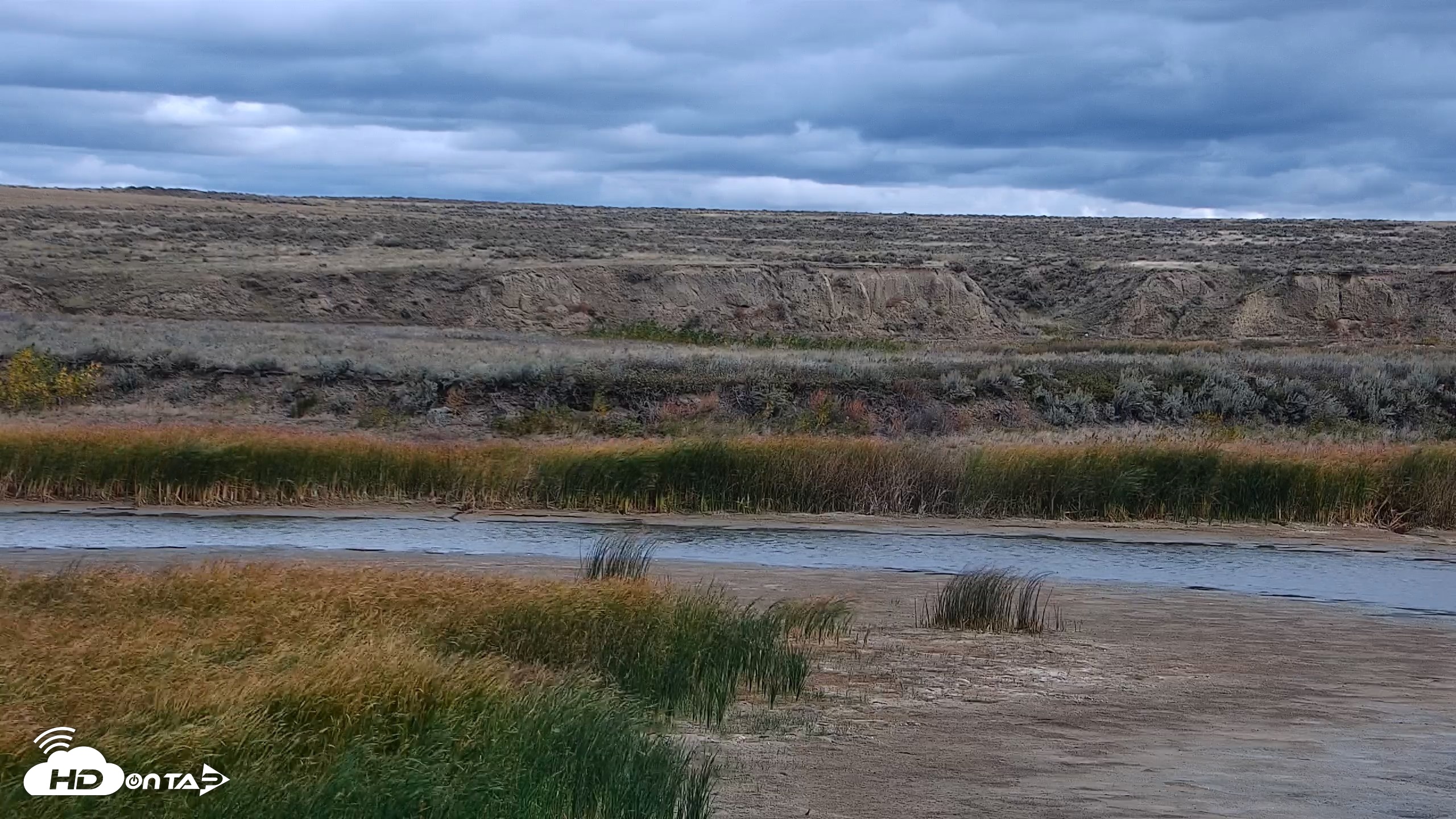 Snapshot of American Prairie Montana Bison Live Cam taken Sep 30, 2026, 1:02pm MDT