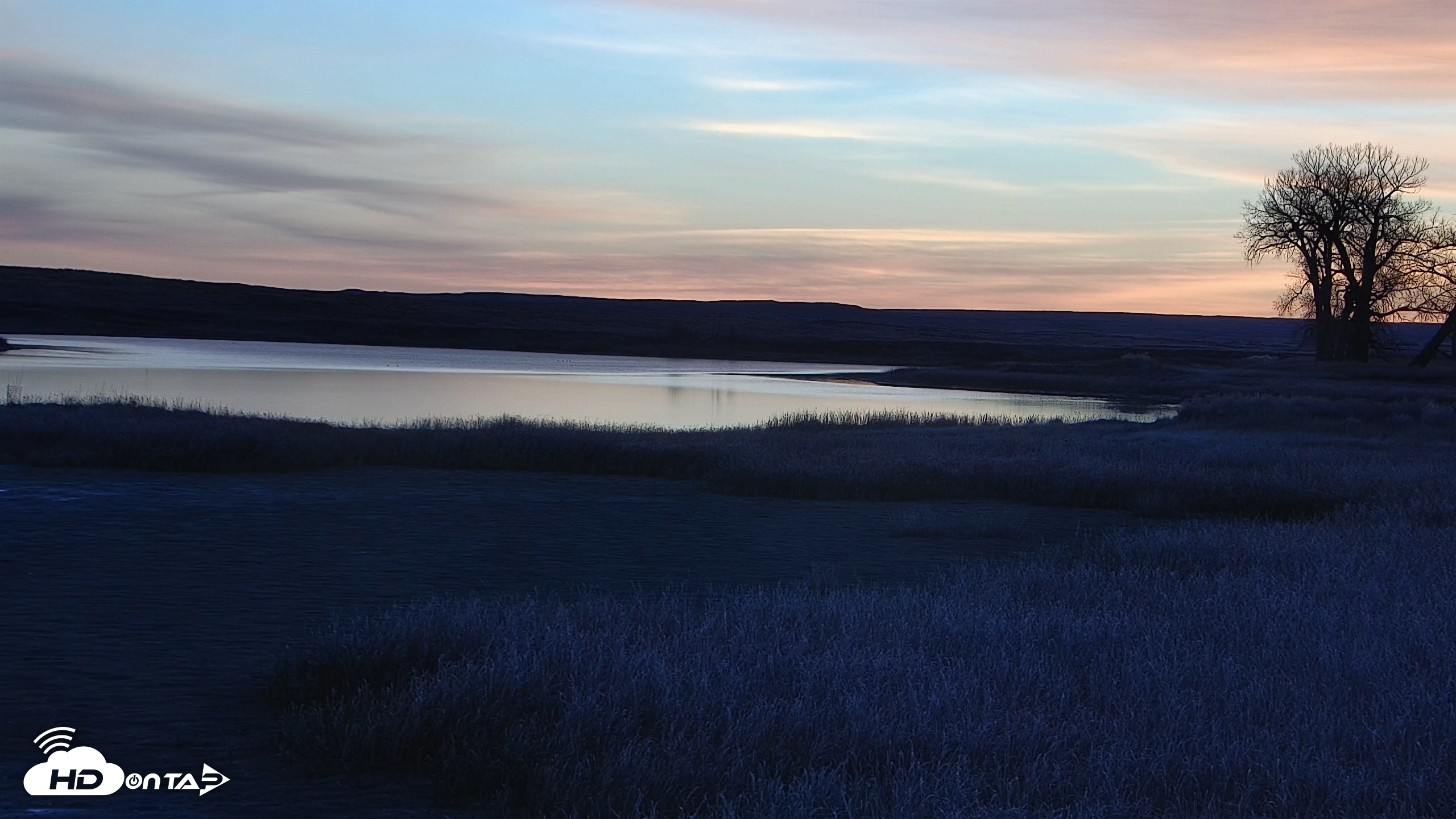 Snapshot of American Prairie Montana Bison Live Cam taken Nov 3, 2025, 6:56am MST